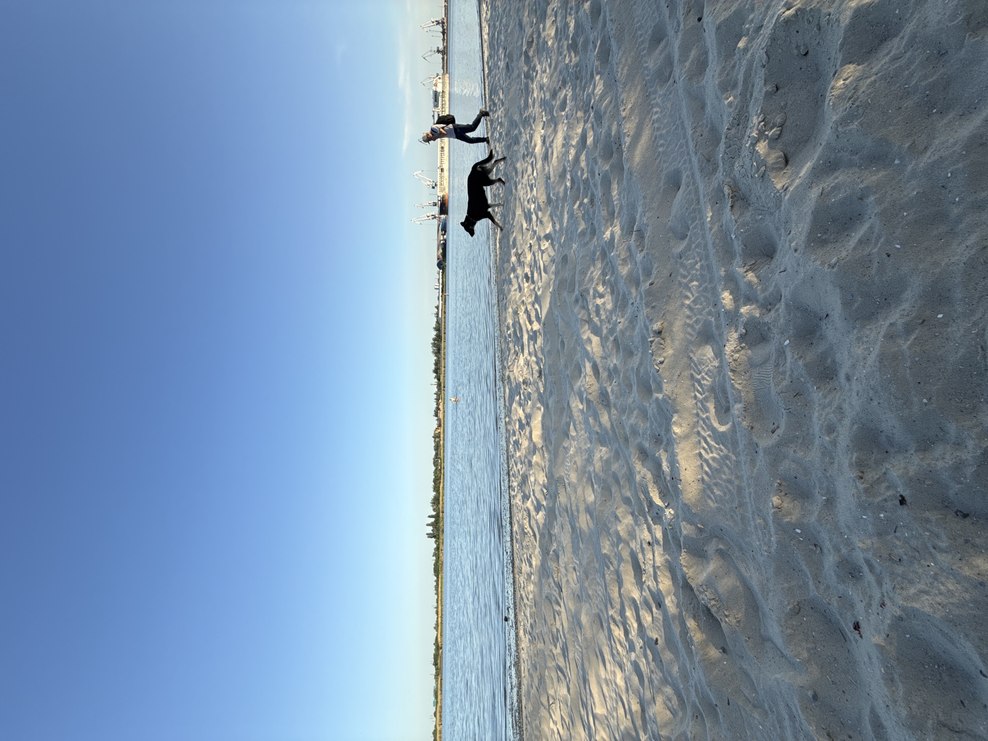 The image depicts a beach scene in Rostov-on-Don, Russia. A person is walking a black dog along the shoreline. In the background, harbor cranes are visible, suggesting a port area. The beach consists of sandy terrain marked with footprints and tire tracks. The water is calm, reflecting the clear, cloudless blue sky.