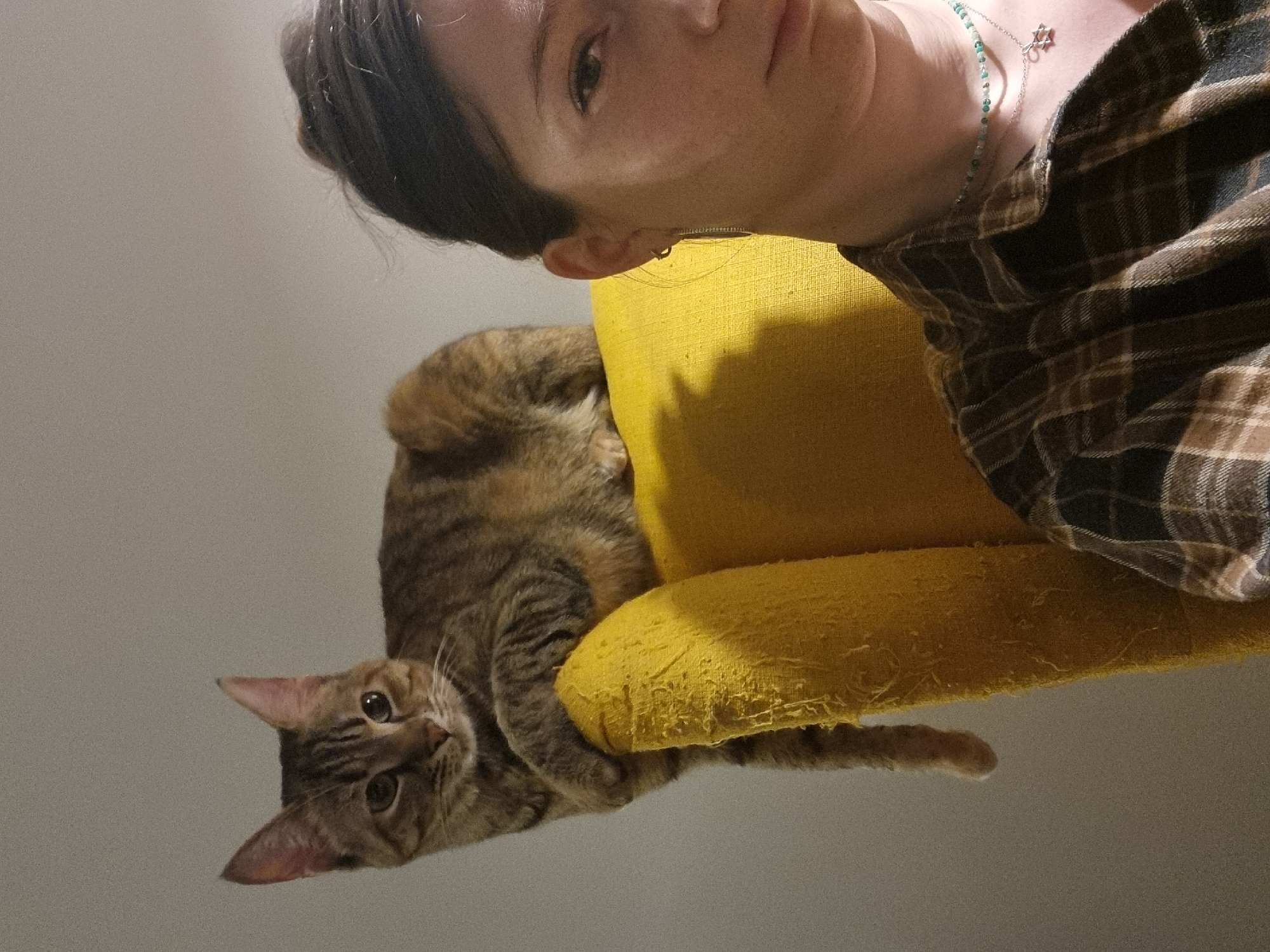 A downward-angled close-up shot depicts a woman and a tabby cat on a yellow chair. The woman's face is partially visible at the top right of the frame, and she is wearing a plaid shirt and necklaces. The cat is positioned on the left, resting on the chair. The background is a plain, light-colored wall. The image was likely taken indoors, but the location is not Ramat Gan, Israel.