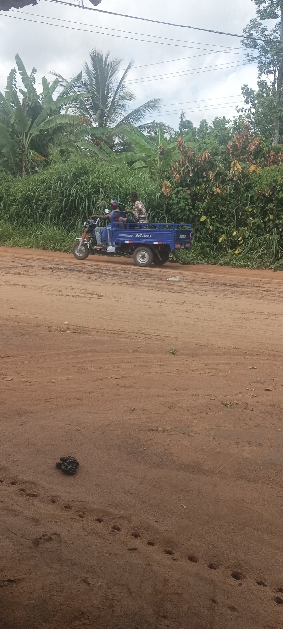 The image depicts a rural scene in Amauzu, Nigeria. A blue three-wheeled vehicle with "AGRO" printed on its side is traveling on a dirt road. Two people are on the vehicle. Lush green vegetation, including banana and palm trees, lines the road. The sky is overcast. A pile of dark material, possibly feces, lies in the foreground of the dirt road, along with animal tracks. Electrical wires are visible overhead.
