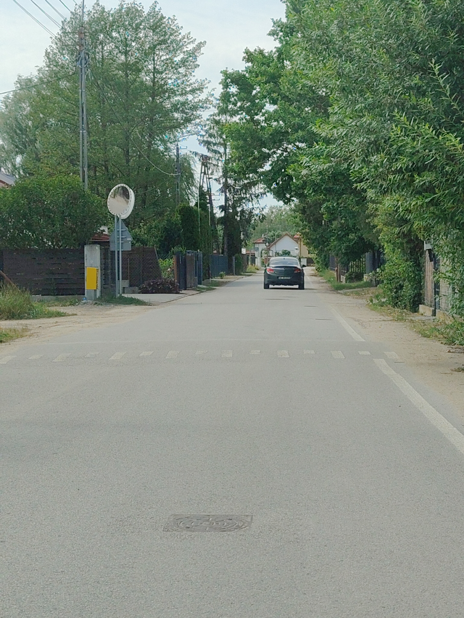 This media file captures a view down a paved road lined with trees and houses, suggesting a residential or semi-rural setting. The road has a pedestrian crossing marked by white stripes. A dark-colored car is visible in the distance, driving away from the viewer. On the left side of the road, there's a utility pole with electrical wires, a street sign, and a yellow marker post. Fences and hedges define the properties along the street. The weather appears to be overcast, judging by the diffused light and the sky. The scene seems to be captured during the daytime. There is no visible text in the image, except for what might be on the license plate of the car, which is illegible. The location is identified as Palmiry, Poland.