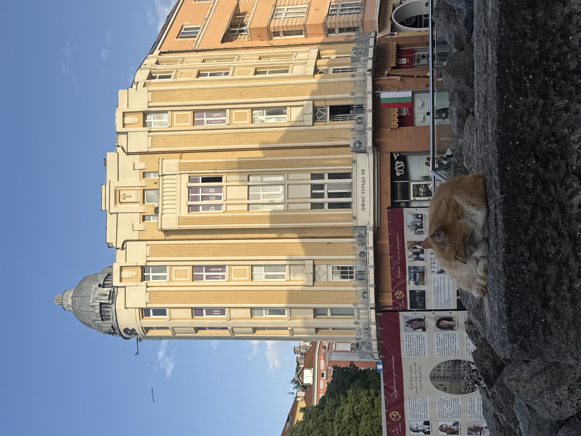 Here's a concise description of the image:
The photograph depicts an architectural scene in Plovdiv, Bulgaria. A multi-story building, primarily yellow with white window frames and linear decorative elements, dominates the background. A metal dome-like structure tops the building. A Bulgarian flag is visible attached to the building.
In the foreground, a ginger cat is lying on a rough, stone surface. A banner with images and text is behind the cat. The sky is clear and blue.