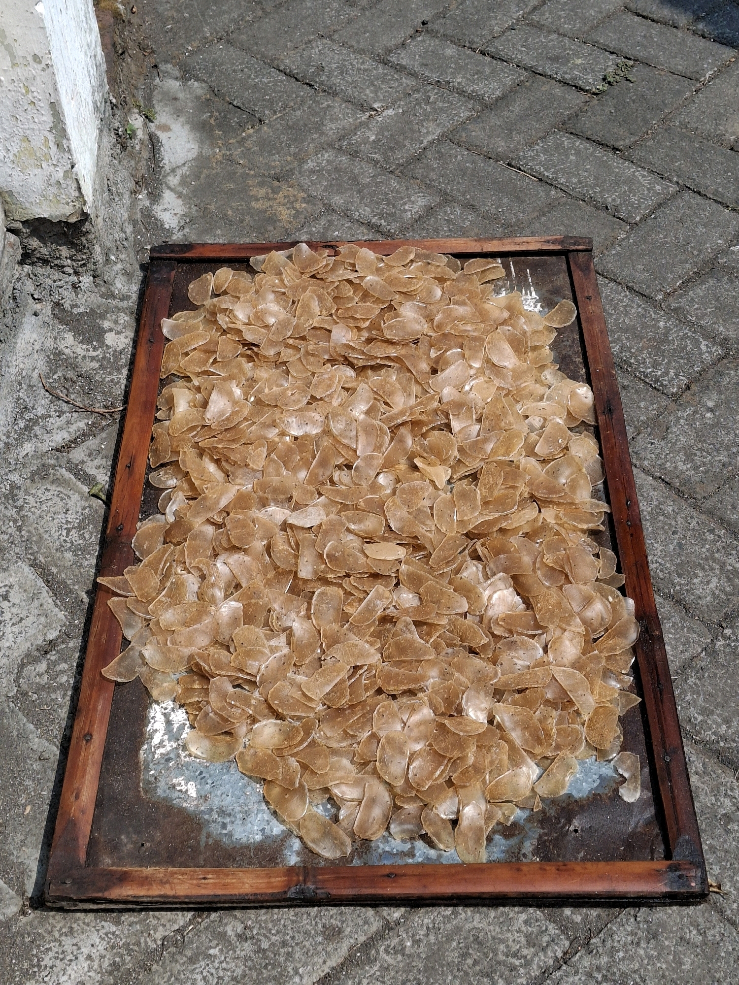A close-up, high-angle shot shows a wooden tray filled with a pile of dried, light-brown, translucent crackers arranged on a dark, weathered metal surface. The tray is positioned on a herringbone-patterned paved surface, likely a sidewalk or patio, in the city of Lumajang, Indonesia. To the left of the tray, a portion of a rough, white, textured wall is visible, showing signs of age and chipping paint. The scene is illuminated by bright sunlight, casting subtle shadows. The crackers appear to be thin and irregular in shape, with some overlapping others. The overall impression is one of food preparation in an outdoor, possibly rustic, setting.