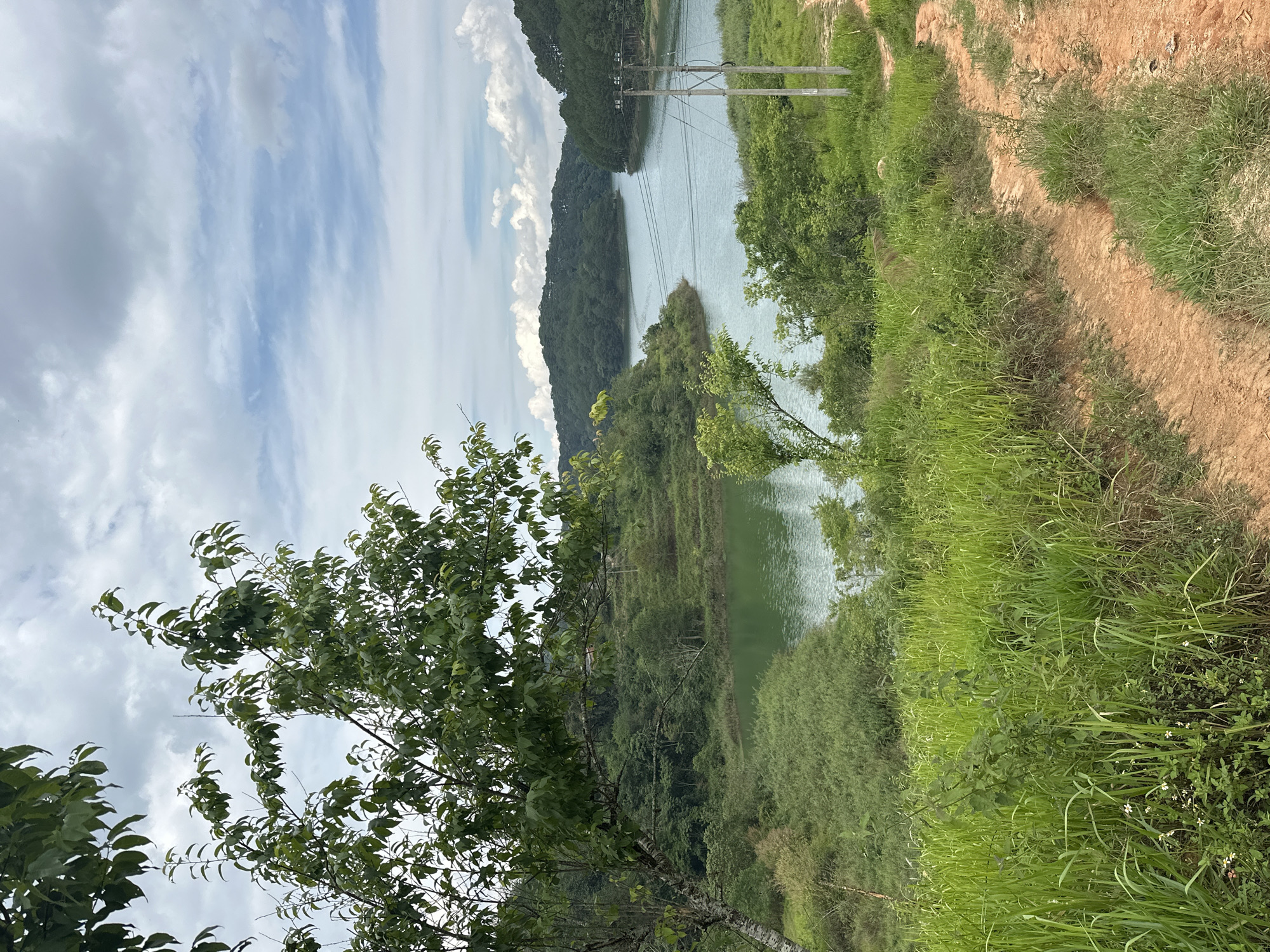 The image is a landscape view of a lake in Da Lat, Vietnam. The foreground has a lush green tree and grassy vegetation. Beyond the vegetation, the view extends to the lake, which reflects the sky and clouds. In the background, there are forested hills. Power lines are visible over the water. A dirt path runs along the edge of the vegetation and the water. The sky is blue with scattered clouds.