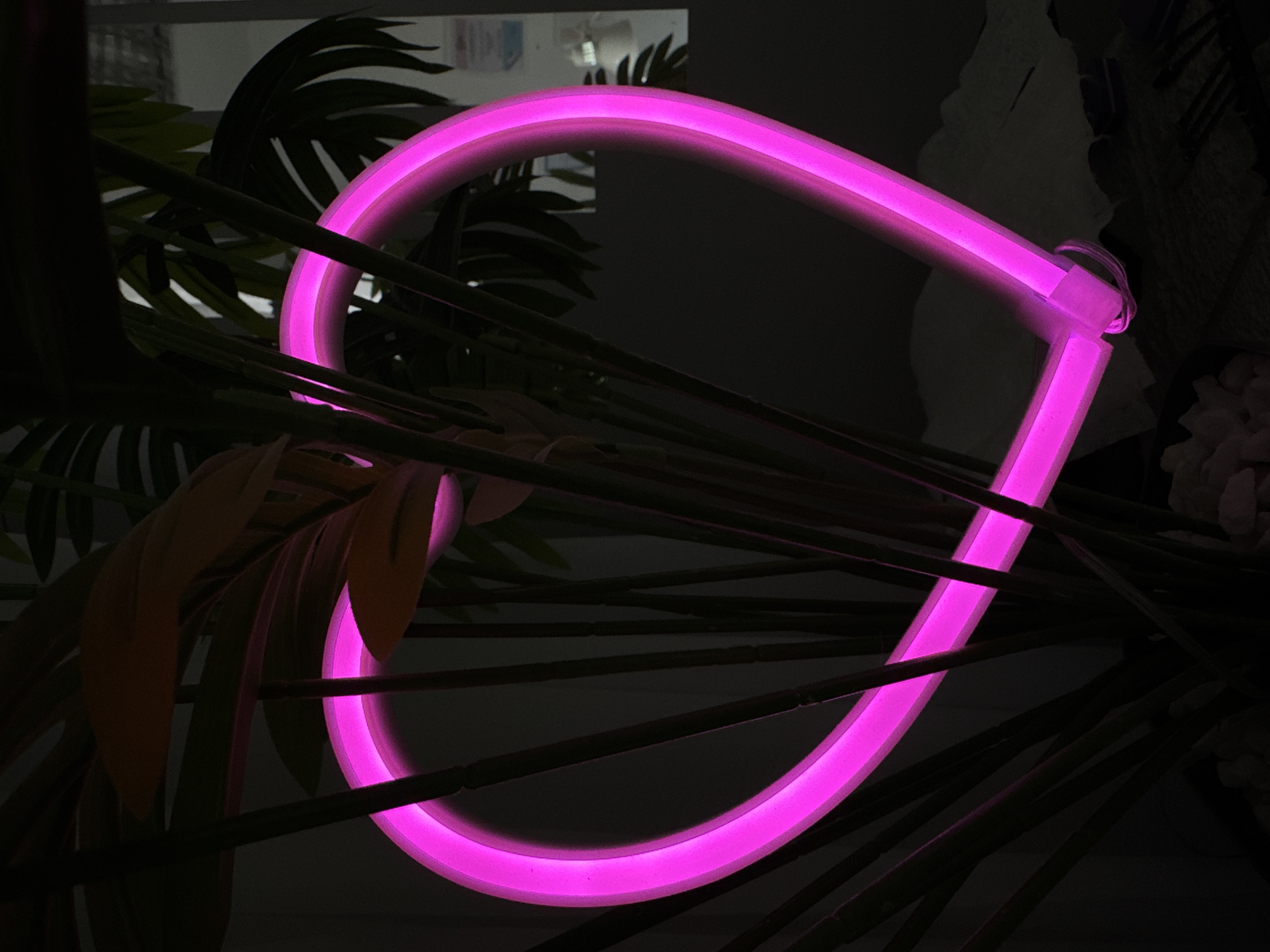 A close-up shot depicts a pink neon light in the shape of a partial loop or a letter "J" amidst foliage. The light emits a vibrant, even glow. The leaves appear dark, casting shadows, with some featuring a lighter, yellowish hue. The overall environment appears dark and indoor. There is no indication of the location being Izhevsk, Russia.