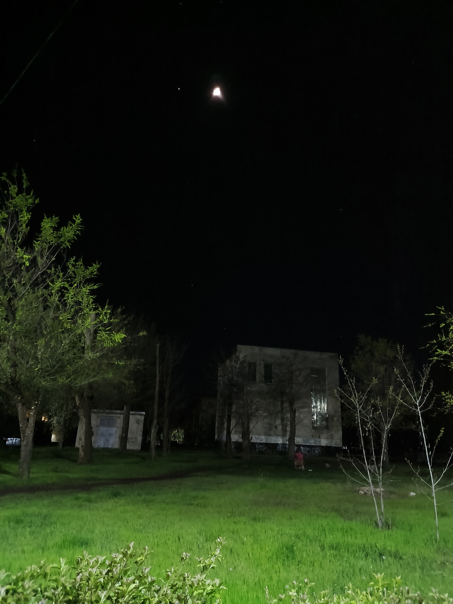 A nighttime photograph taken in Kryvyi Rih, Ukraine, presents a scene dominated by a clear, dark sky featuring a brightly illuminated crescent moon, with its right side visible. Several faint stars are scattered across the sky, and a dark cable runs diagonally across the upper left.
The foreground and midground are covered in vibrant, lush green grass, suggesting recent growth. A subtle, darker path or worn area cuts through the grass. Various trees populate the landscape: a large tree with dense, bright green foliage is prominent on the left, while several other trees with sparser or bare branches stand further back, appearing darker against the scene. A young tree with light green leaves is visible on the right, and green shrubs form a low hedge in the immediate foreground.
In the background, two structures are visible. The main building is a two-story, light-colored edifice, appearing weathered or disused. Its windows are dark, though one reflects a bright light, possibly from an interior source or an external reflection. Graffiti, with some discernible letters like "OOO", covers its lower walls. To its left, a smaller, single-story structure, possibly a shed or utility building, also stands.
A closer inspection reveals a person dressed in a reddish-pink garment crouching or sitting on the grass near the main building, with a small, light-colored animal, possibly a dog, nearby.
The image captures a quiet, serene moment under a clear night sky, contrasting the natural vibrancy of the greenery with the somewhat stark and possibly abandoned appearance of the buildings.
