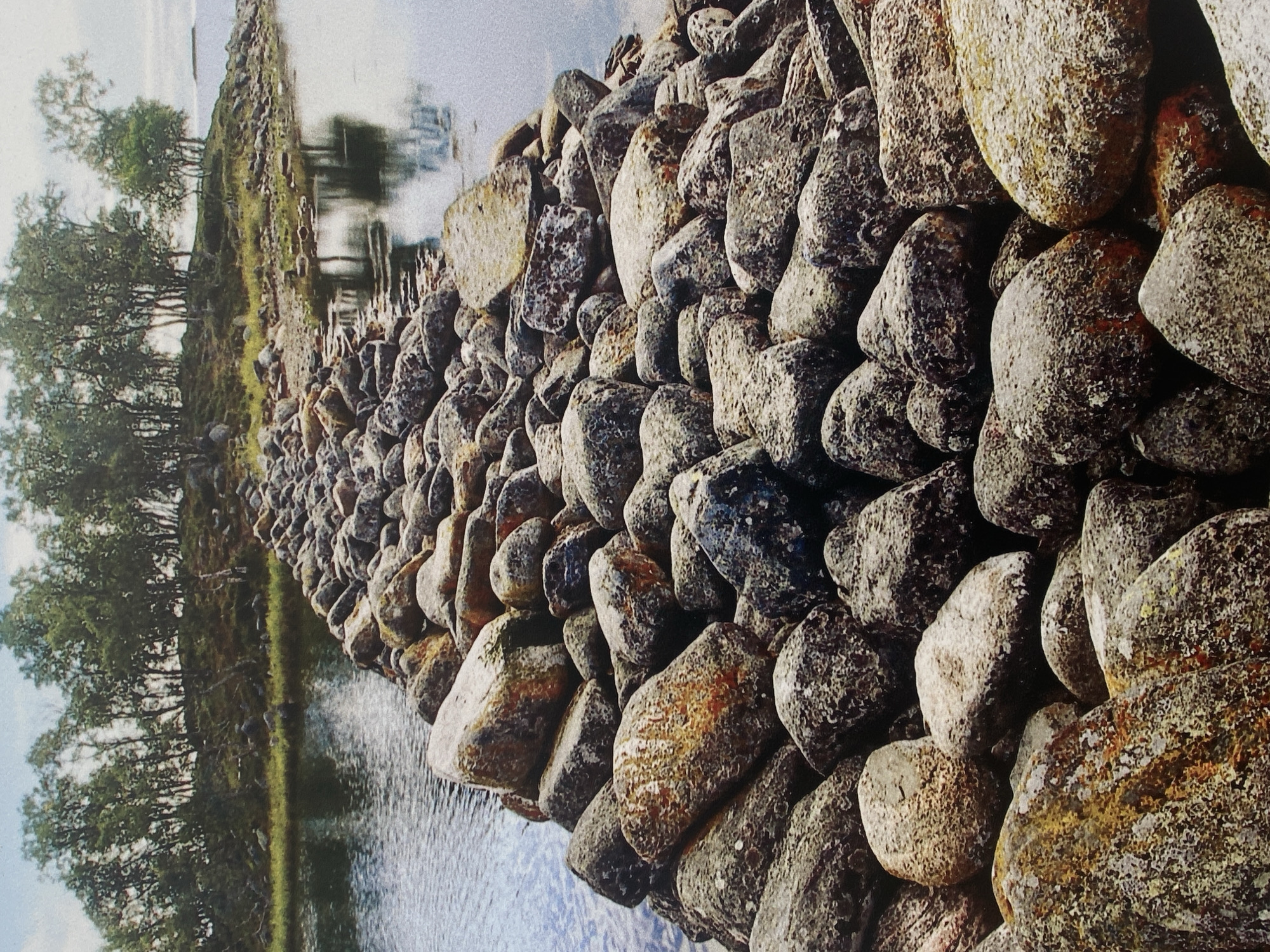 The image depicts a stone barrier or embankment in a body of water, likely a river or lake, in Шебунино, Russia. The embankment is constructed of irregularly shaped, rounded rocks of various sizes and colors, ranging from gray to brown, and appear to be moss-covered in places. The water is visible on both sides of the embankment and reflects the trees and sky. On the left side of the frame, a line of trees is visible along the bank, reflected in the water. The lighting suggests an overcast day. The composition is focused on the texture and pattern of the stones, with the landscape providing context.