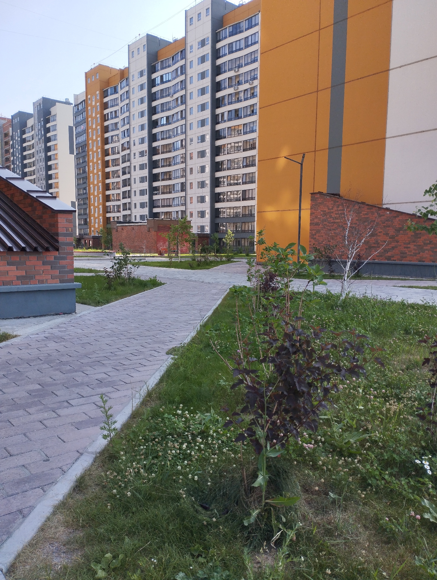 A pathway made of grey paving stones curves through a grassy area in front of a row of modern apartment buildings in Sadovyy, Russia. The buildings are tall and multi-story, with many windows. The one closest to the viewer has an orange facade with a vertical grey stripe. To the left of the path is a low brick building with a dark metal roof. The grassy area contains various plants, including a dark-leaved shrub in the foreground and a slender white birch tree further back. The sky is light and overcast.