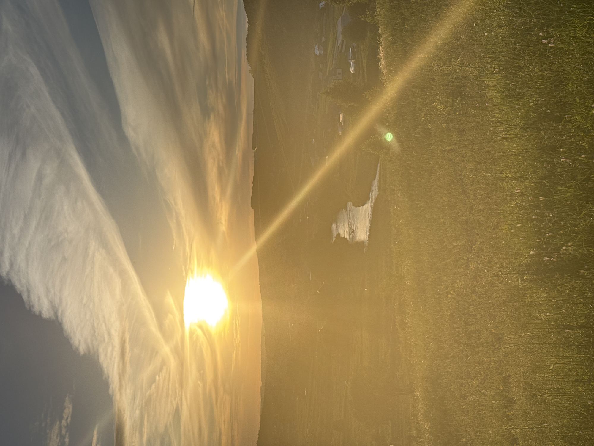 This is a landscape photograph taken in Baiki, Russia. The image depicts a rural scene at sunset, with the sun casting a warm, golden light across the entire frame. The sun, a bright, intense orb, is positioned on the left side of the image, with its rays stretching diagonally across the sky and land. Wispy clouds are visible in the sky, illuminated by the setting sun.
The foreground is dominated by a lush green field, possibly a meadow or pasture, with tall grass. In the midground, there appears to be a body of water, perhaps a river or pond, reflecting the sky and the sun's light. Along the edge of the water, a small cluster of buildings can be seen, suggesting a rural settlement or homestead. The overall impression is one of tranquility and natural beauty, amplified by the warm glow of the sunset. The time of day is clearly sunset, and the weather appears clear, with the sun being the dominant light source. There is no visible text in the image.