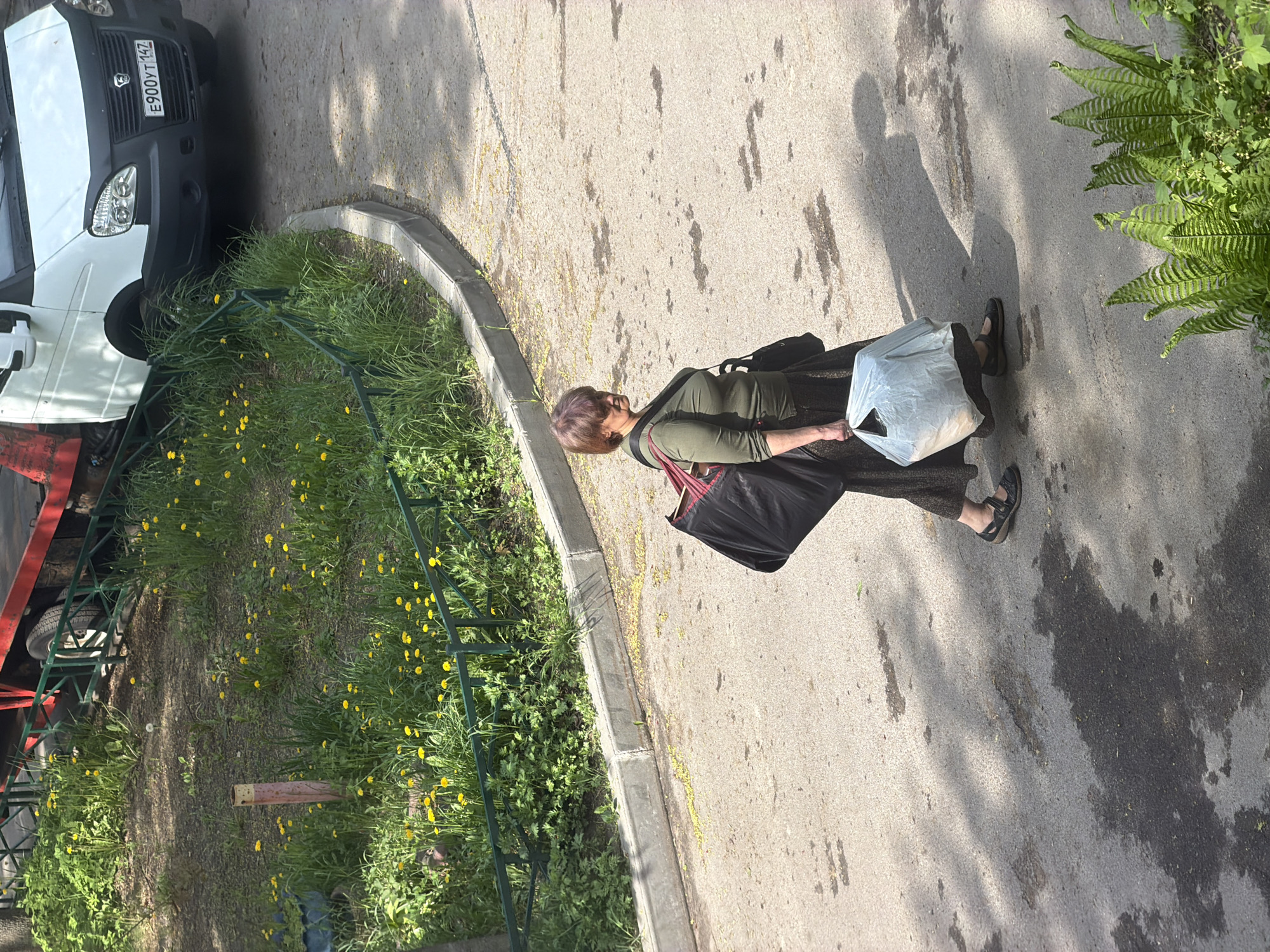 A woman is walking on a sidewalk next to a curb. She is carrying two bags. The first is black, and the second is white. The woman is wearing a green shirt and sandals. Next to the sidewalk is a grassy area with yellow flowers. A white van is parked on the left, and fern plants are on the right. Based on the vehicle registration plate, the location is Tokkari, Russia.