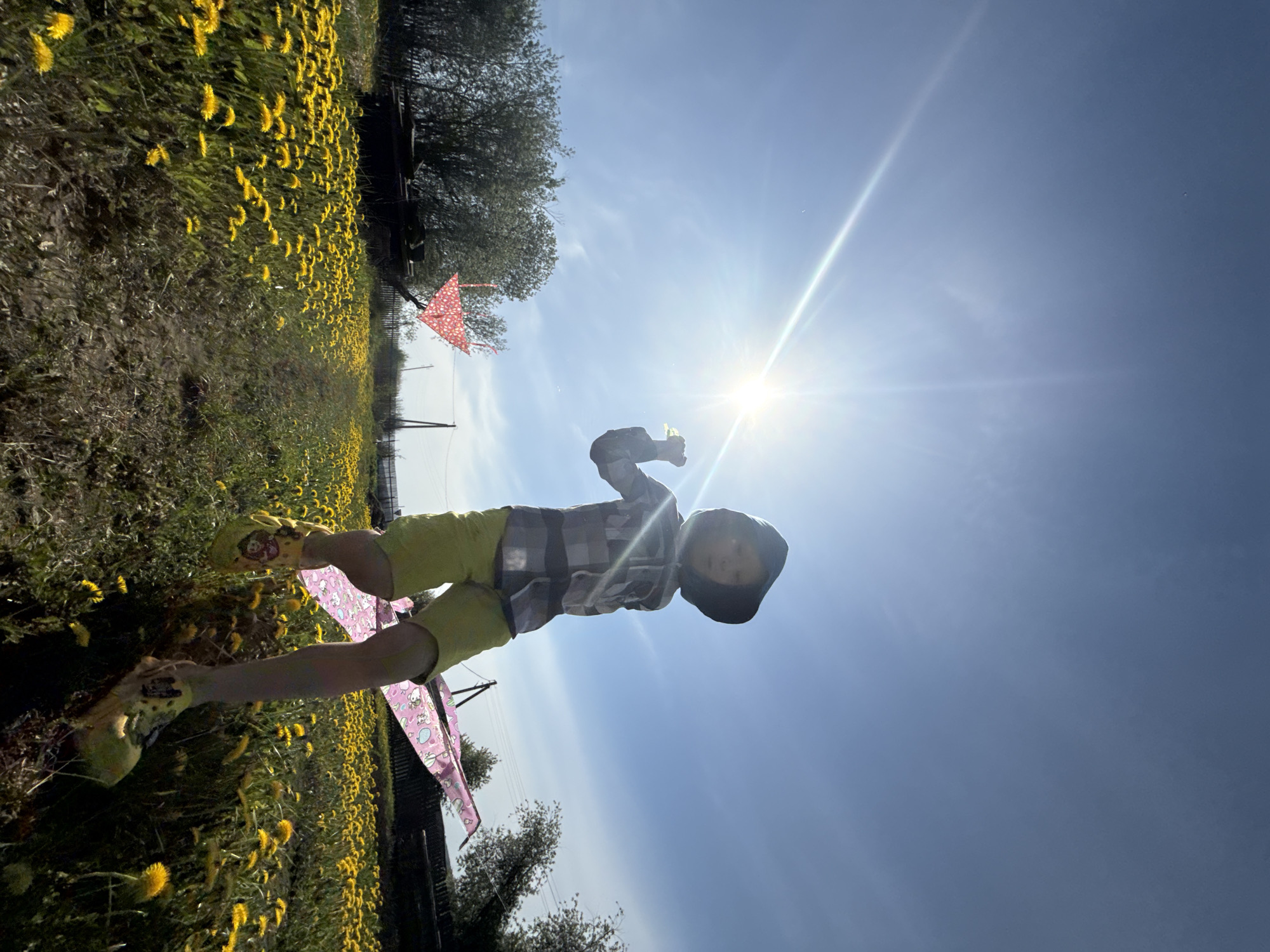 A low-angle outdoor shot taken in what appears to be a field or meadow, possibly in Nizhnyaya Chermoda, Russia, depicts a child standing in a field of yellow flowers under a bright, sunny sky. The child is wearing yellow shorts, a grey and black plaid shirt, and a hooded jacket. The child is holding something green in their hand. A pink kite lies on the ground behind the child. In the background, beyond the field of flowers, are trees and what appears to be a fence or some other type of structure. The sun is high in the sky, causing a bright glare in the image. The image is rotated 90 degrees counterclockwise.