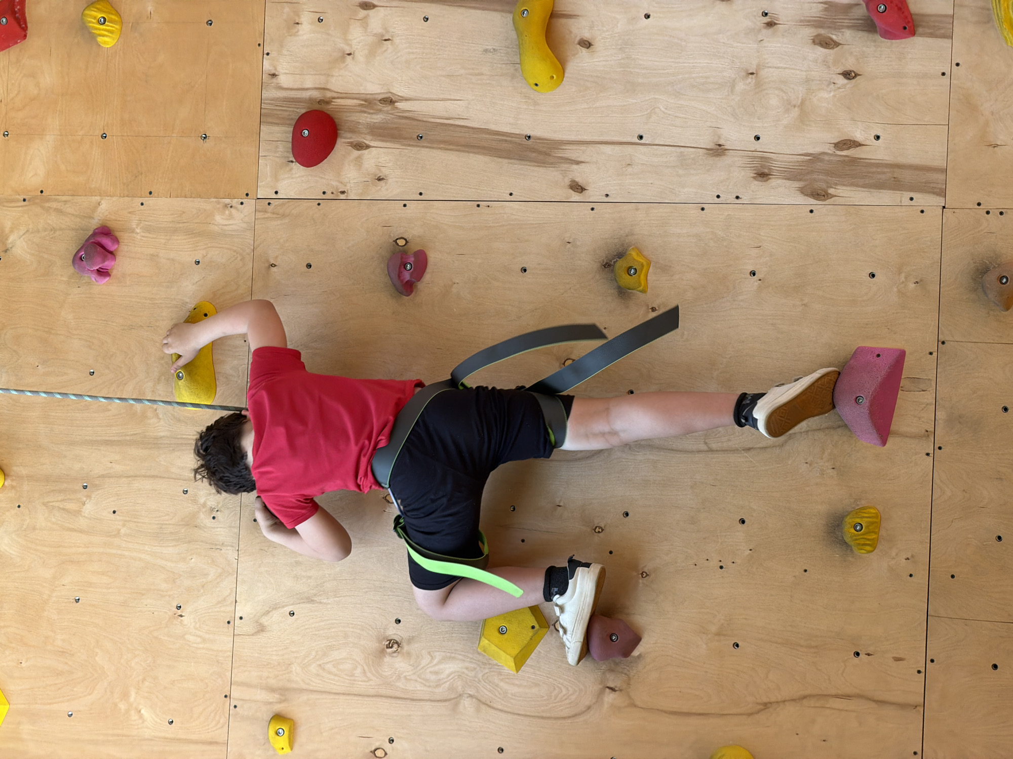 A child is suspended on a climbing wall in Izhevsk, Russia. The wall is constructed from light-colored plywood panels, joined to form a grid. Colorful, irregularly shaped climbing holds are bolted to the wall in various positions. The child is wearing a red t-shirt, black shorts, and white sneakers. A climbing harness with gray straps is secured around their waist and legs, connected to a rope that runs horizontally along the top of the wall. The child's body is nearly horizontal, with one arm extended to grip a yellow hold and one foot planted on a pink hold. The child appears to be actively engaged in climbing.