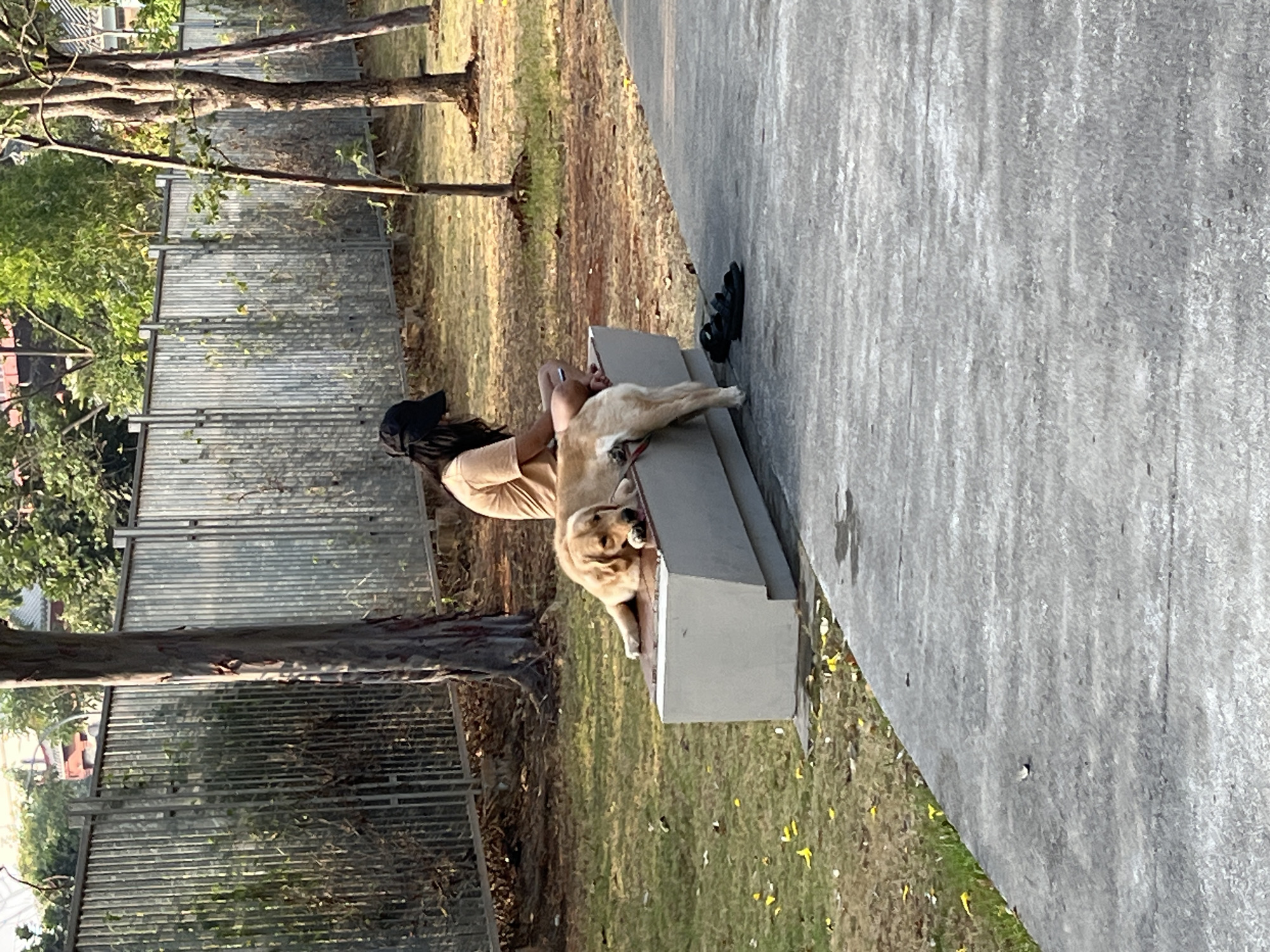 A person wearing a tan t-shirt and a black baseball cap sits on a modern concrete bench in a park, facing away from the camera. A golden retriever is lying on its stomach across the bench, its head resting on the edge and its body extending over the side. The dog's paws are visible, with its front paws draped over the bench and its hind legs hanging off. Next to the bench, on the concrete path, is a pair of black sandals. The park is grassy, with fallen yellow leaves scattered across the ground. A metal fence runs along the background, with trees and some buildings visible behind it. The scene appears to be set in a suburban or urban park.