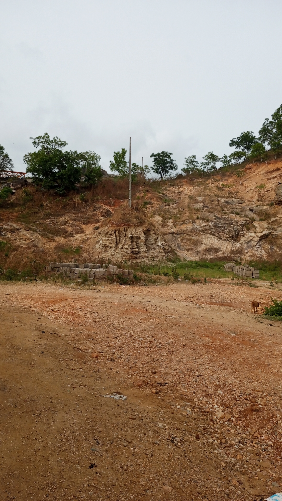 The image shows a quarry or excavation site in Zango-ndaji, Nigeria. The foreground is a dirt area with gravel and some small pools of water. In the middle ground, there is a pile of grey cinder blocks, sparse green vegetation, and a geological feature of layered rock. A single wooden pole stands near the rock feature. A light-brown dog is standing in the right of the middle ground. The background is a hillside with trees along the ridge. The sky is overcast.