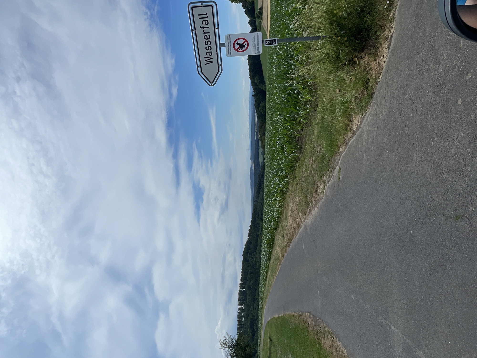 In Christerode, Germany, a paved road curves to the left, bordered by lush green grass on the left and a field of young corn plants on the right. In the background, a dense forest covers rolling hills, and beyond that, a distant hazy landscape with wind turbines is visible under a partly cloudy sky. A signpost stands beside the road, with a white directional sign pointing left that reads "Wasserfall". Below this, another sign displays two red circular symbols, one with a dog and leash inside and another with a human figure, both crossed out, indicating restrictions. A smaller directional sign below that points left with the letter "N". A dark car mirror is visible in the lower right corner.