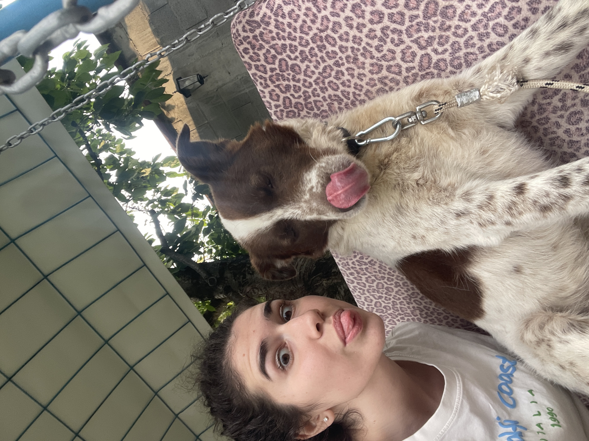 A medium eye-level shot captures a young, brown-haired Caucasian woman in a white t-shirt and a medium-sized brown-and-white dog on a leopard print surface. The woman is in the foreground, looking up and sticking her tongue out. The dog is partially on its side with its tongue sticking out and draped across the woman. The dog is wearing a collar and leash. A building structure of light gray tiles and thin blue dividing lines is in the background on the left side. Lush green trees and foliage are behind the building. A chain-link structure is visible near the top left corner of the image. Other parts of a structure and foliage are visible in the upper center of the image. The location is likely Sofia, Bulgaria, based on context clues and location requests.