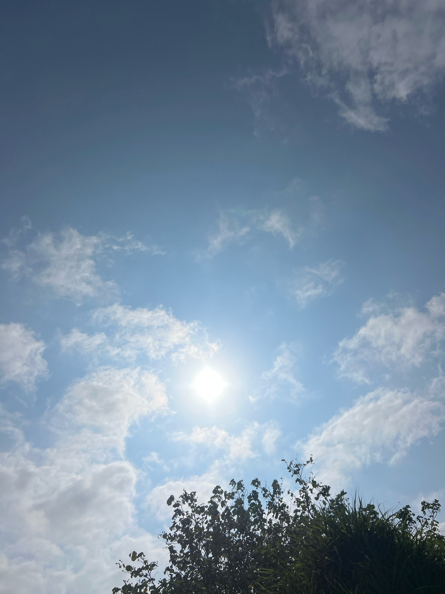 The image captures a bright, sunny day in Kuta, Indonesia, with the sun at its zenith, casting a brilliant glow through scattered white clouds against a clear blue sky. The upper portion of the image is dominated by the expansive sky, showcasing the sun's radiant presence. Towards the bottom, the lush green canopy of trees and foliage forms a natural border, suggesting an outdoor setting, likely a park or a residential area within Kuta. The image is devoid of any human presence or activity, focusing solely on the serene natural landscape.