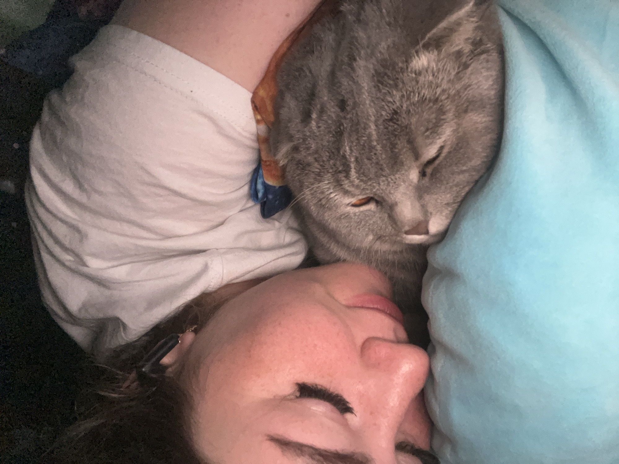A woman is seen lying down, with her head resting on a blue pillow. A gray tabby cat is nestled between her and her arm, which is covered by a white t-shirt. The location is unknown.