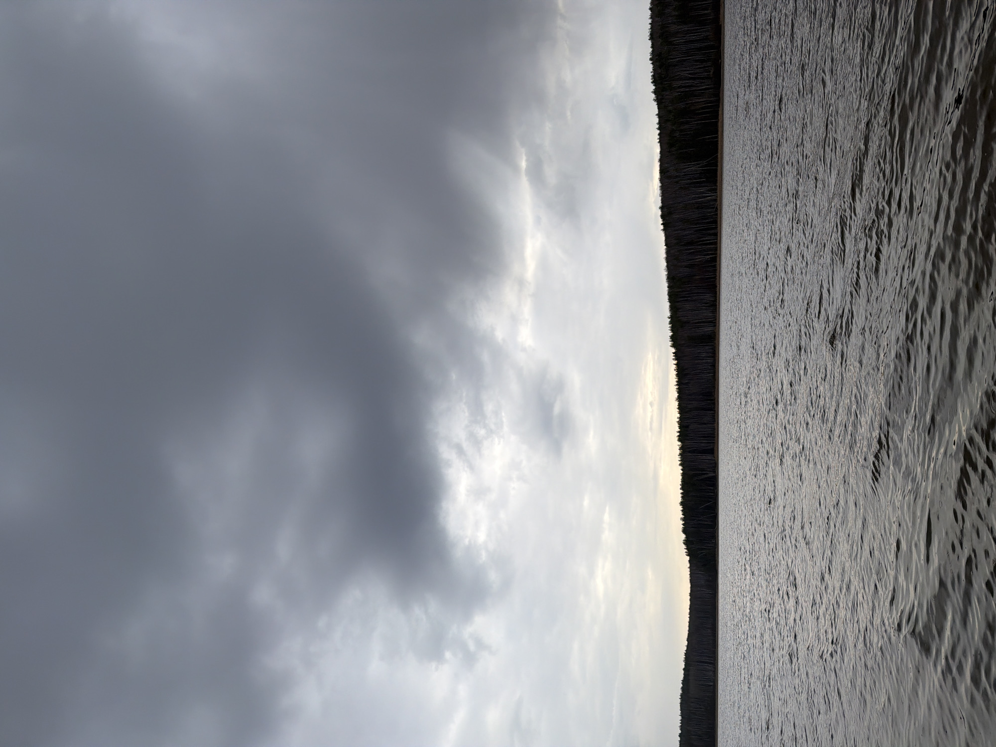 The image depicts a serene natural landscape featuring a body of water, a forested shoreline, and an overcast sky. The horizon line runs horizontally across the middle of the frame, separating the sky from the water.
Above the horizon, the sky is dominated by a dense layer of gray clouds. Patches of brighter, whiter clouds are visible, suggesting diffused sunlight breaking through or reflecting from behind the main cloud cover, creating subtle crepuscular rays in places. The overall impression of the sky is subdued and moody.
Below the horizon lies a vast expanse of water, likely a lake or a wide river, given the context of Chaikovsky, Russia. The water surface is textured with numerous small, dark ripples and waves, catching and reflecting the muted light from the sky above.
Along the horizon, a dark, dense line of trees forms the distant shoreline, silhouetted against the lighter sky. These appear to be coniferous trees, typical of a northern forest. No human structures or individuals are visible, emphasizing the natural and untamed character of the scene.
The lighting suggests either early morning or late evening due to the soft, diffused quality and the absence of direct, bright sunlight. The weather is cloudy and overcast. The scene conveys a sense of peaceful vastness and natural beauty. There is no visible text in the image.