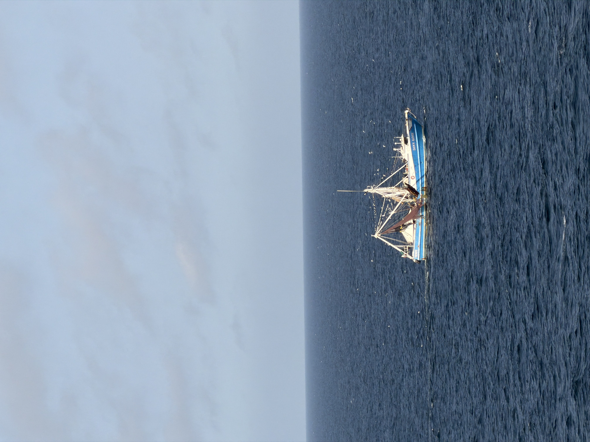 The image, originally rotated 90 degrees clockwise, depicts a fishing boat named "DAWN ROVER" at sea. When viewed with a level horizon, the vessel is positioned on the deep blue-green ocean under a bright, lightly clouded sky.
The "DAWN ROVER" is a white boat with a prominent blue stripe along its hull. It features a tall mast, multiple booms, and intricate rigging, indicative of a fishing trawler. What appears to be fishing nets or trawl gear are visible on deck and extending from the stern. The boat is actively engaged in fishing or has recently completed an operation, as suggested by the numerous white seabirds, likely gulls, flying around the vessel, particularly concentrated near the stern where fish processing or discards might attract them.
The water surface is textured with ripples and small waves, reflecting the daylight. The horizon line is visible in the distance, separating the vast ocean from the pale blue sky that shows subtle cloud formations. The scene conveys a sense of open-sea activity during daytime, with no land or other boats visible. The name "DAWN ROVER" is clearly legible in blue capital letters on the side of the boat's white hull.