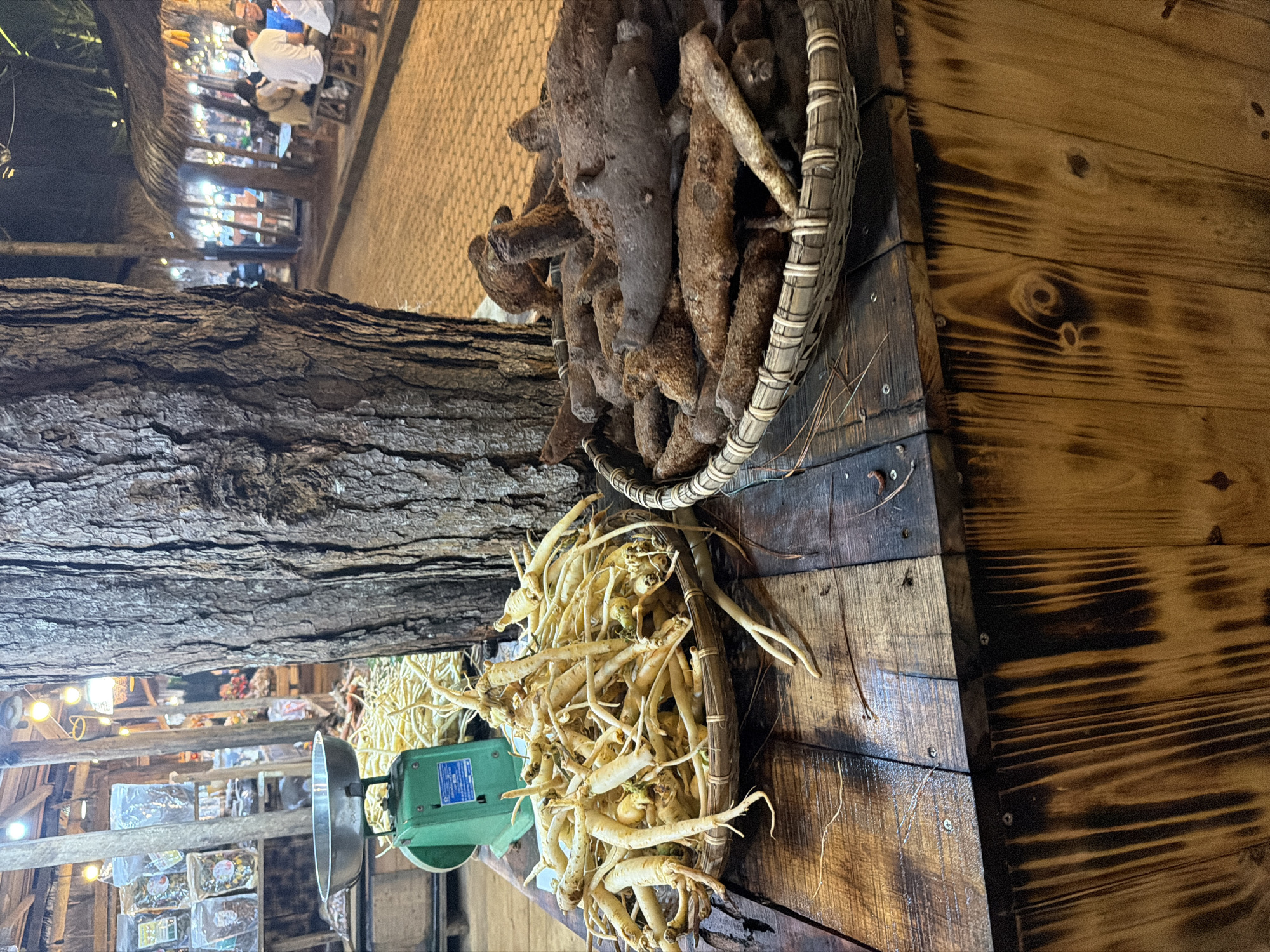 This image captures a vibrant market stall, presented as if the camera were tilted, but depicting an upright scene. The setting appears to be an indoor or covered market, characterized by a rustic and earthy ambiance, possibly at night or in a dimly lit space given the warm artificial lighting in the background.
In the foreground, a prominent, rough-barked tree trunk serves as a structural element on the left side of the frame. To its right, two woven baskets are displayed on a dark, burned-effect wooden surface. The upper basket is filled with a collection of dark, irregularly shaped roots or tubers, possibly dried yams or medicinal roots. Below it, the second basket overflows with numerous light-colored, long, and slender roots, strongly resembling fresh ginseng, some with small green shoots attached. A green mechanical weighing scale with a silver pan is visible behind this basket of fresh roots, suggesting these items are sold by weight. The wooden surface beneath the display is made of planks with visible grain and dark, charred patterns, contributing to the rustic aesthetic.
The background, softly blurred, reveals an active market scene. Several individuals, some seated, are discernible, dressed in casual attire. They appear to be customers or vendors amidst other stalls or shelves laden with various packaged goods, possibly dried foods, herbs, or local products. These background stalls are illuminated by warm string lights, casting a cozy glow. The overall impression is one of traditional commerce focusing on natural or herbal products. No discernible text is legible on any object within the image.