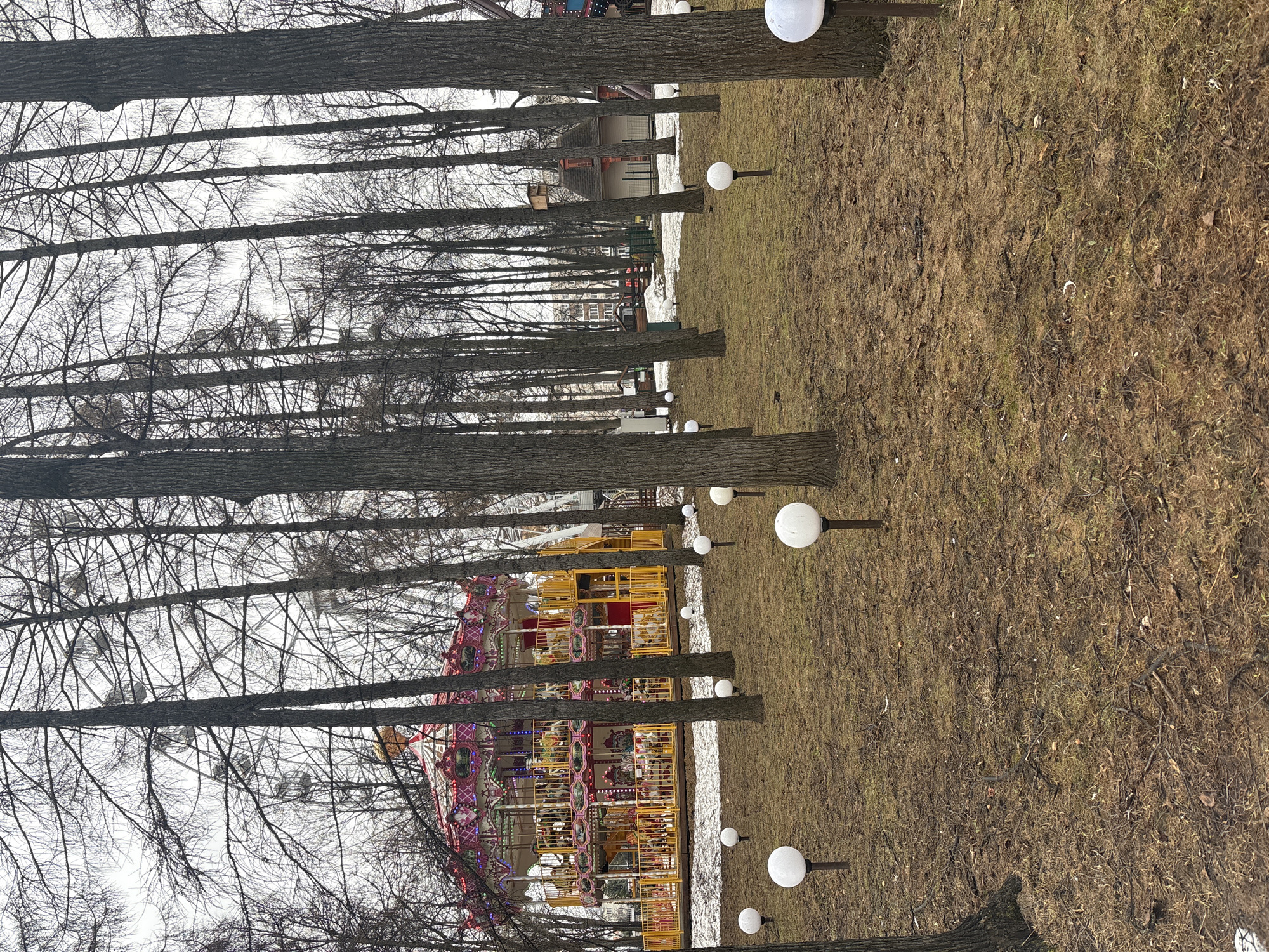 The scene depicts an outdoor amusement park in Perm, Russia. A carousel with yellow railings and a light pink roof sits in the middle, partially obscured by trees and illuminated by multiple white globe lights. In the background, a Ferris wheel is visible through the bare branches of the trees. The ground is covered in brown grass with patches of melting snow. The image is taken from a low angle, looking up through the trees. The carousel appears to be the focal point.