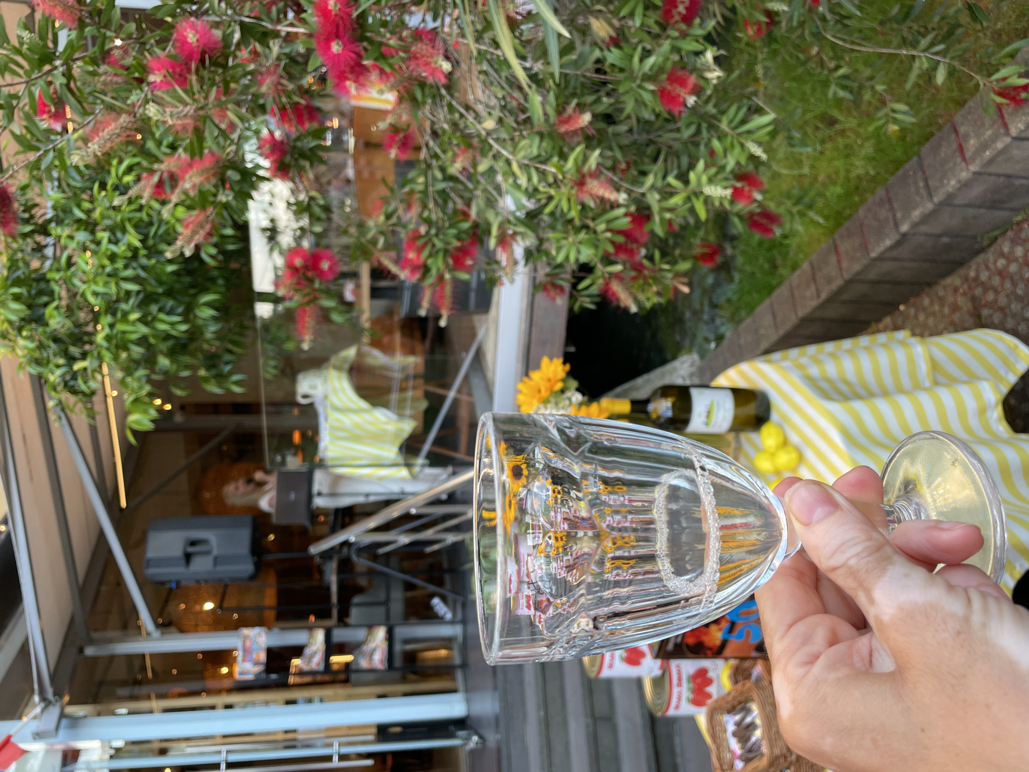 In Sochi, Russia, at an outdoor venue with a covered seating area, a hand holds a glass of clear liquid, possibly white wine, in the foreground. The glass has a ribbed texture and reflects sunlight and surrounding objects. On a table covered with a yellow and white striped cloth, there are two cans with red fruit imagery, a basket of chocolates, and a bottle of white wine. Behind the table, a woman is visible near a microphone and laptop, seemingly giving a presentation or performance. Lush green foliage with vibrant red flowers dominates the right side of the image, suggesting a garden or park setting adjacent to the venue. The overall atmosphere appears festive and relaxed, possibly during a daytime event.