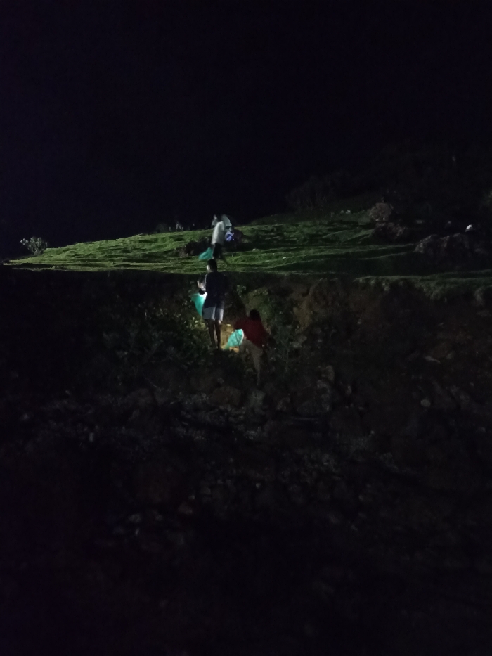 The image captures a nighttime scene outdoors, likely on a hillside in Kecamatan Pujut, Indonesia. Several people are visible on an uneven terrain consisting of a dark, earthy foreground and a green, grassy slope further up.
In the center-bottom of the frame, one person stands, illuminated by or holding a bright, glowing object with a blue-green hue. To their right and slightly lower, another individual is crouched or bending, also near a similar glowing object. Further up the grassy incline, more figures are present, some indistinct, and several appear to be holding or interacting with additional glowing objects, which cast a faint light on their surroundings. The overall impression is of a group engaged in a nocturnal activity, possibly a search, night hike, or the collection of luminous items, indicated by the multiple light sources or glowing objects. The sky is completely dark, confirming it is night. There is no visible text in the image.