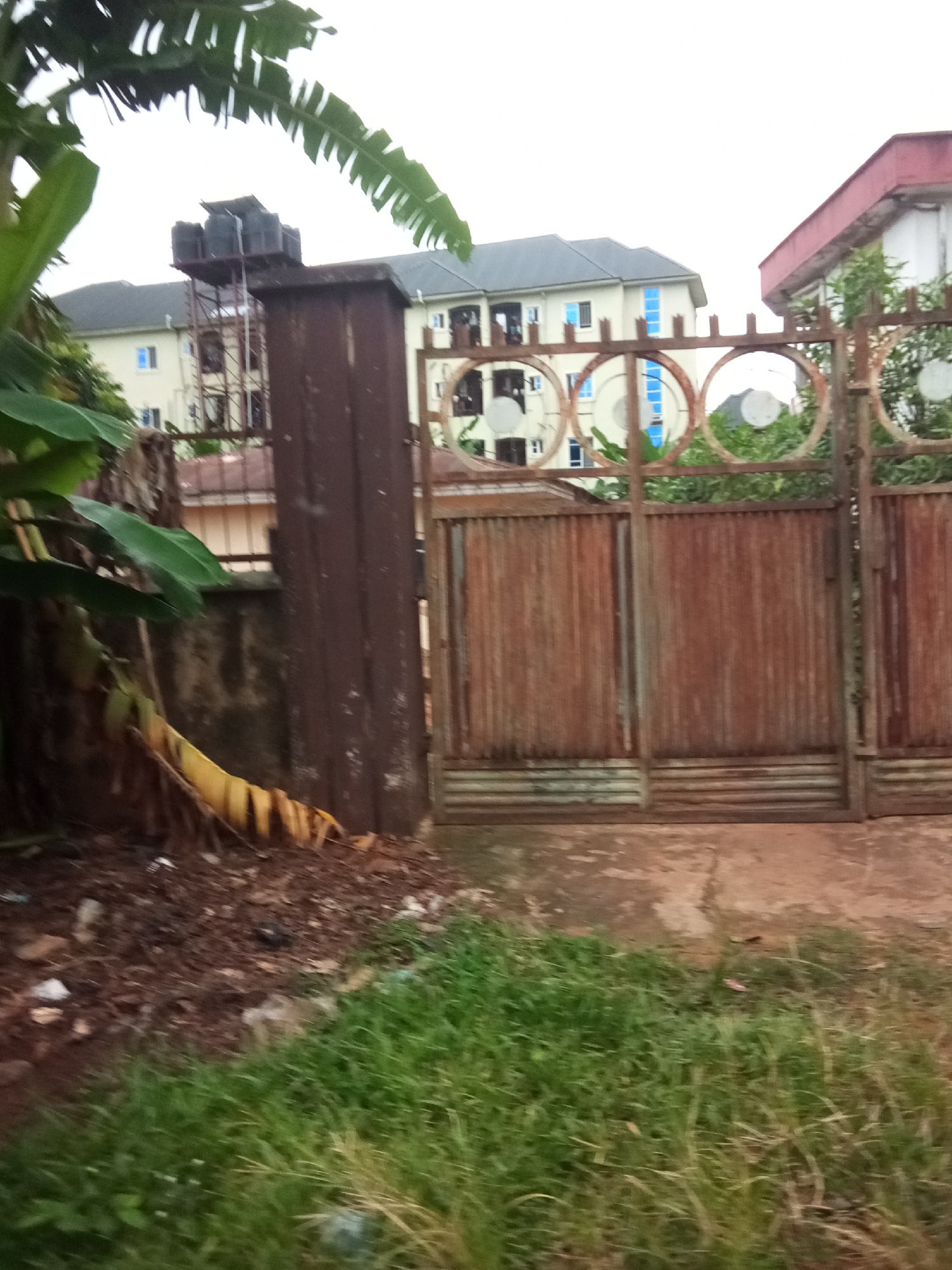 In Nanka, Nigeria, this image captures a rustic scene dominated by a large, weathered, corrugated metal gate. The gate appears aged, with visible rust and vertical striations. Above the gate, a decorative element features several circular metal rings. To the left of the gate, a dark, vertical metal post stands prominently. Beyond the gate and post, two multi-story buildings are visible. The building on the left has a dark, sloped roof and cream-colored walls with blue-trimmed windows. Further back, another building with a similar color scheme and blue windows is present. On top of a structure behind the gate, several dark water tanks are mounted on a metal scaffolding. In the foreground, lush green grass grows alongside a patch of brown, dry ground littered with debris. To the far left, large green banana leaves extend into the frame, with a dried, yellowing banana leaf in front of the dark metal post. The sky above is overcast and bright.