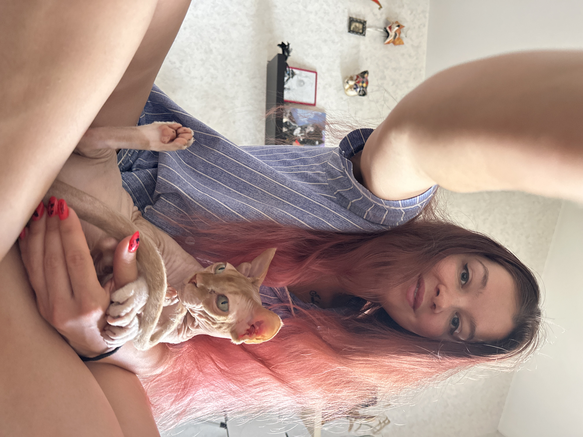 The media file is a low-angle, close-up, selfie-style photograph taken indoors. The primary subjects are a young woman and a Sphynx cat. The woman has long, reddish-pink hair and is wearing a blue and white striped shirt. She is holding the cat, which is light-colored with large green eyes, in her arms. Her left hand is visible, with bright red painted nails, gently holding the cat's paw. The cat is looking towards the camera.
The background shows a wall with some decorative items, including framed pictures and small figurines. One notable detail is a black shelf unit with items on it, and a framed certificate or picture on the wall behind it. The overall setting appears to be a room in a residential dwelling. The lighting suggests it is daytime, with natural light entering the room, creating some shadows and highlights on the woman's arm. The woman has a slight smile, and her expression, along with the way she is holding the cat, conveys a sense of affection and comfort. The photograph is oriented sideways. There is no visible text in the media file. The location context is Vladimir, Russia.