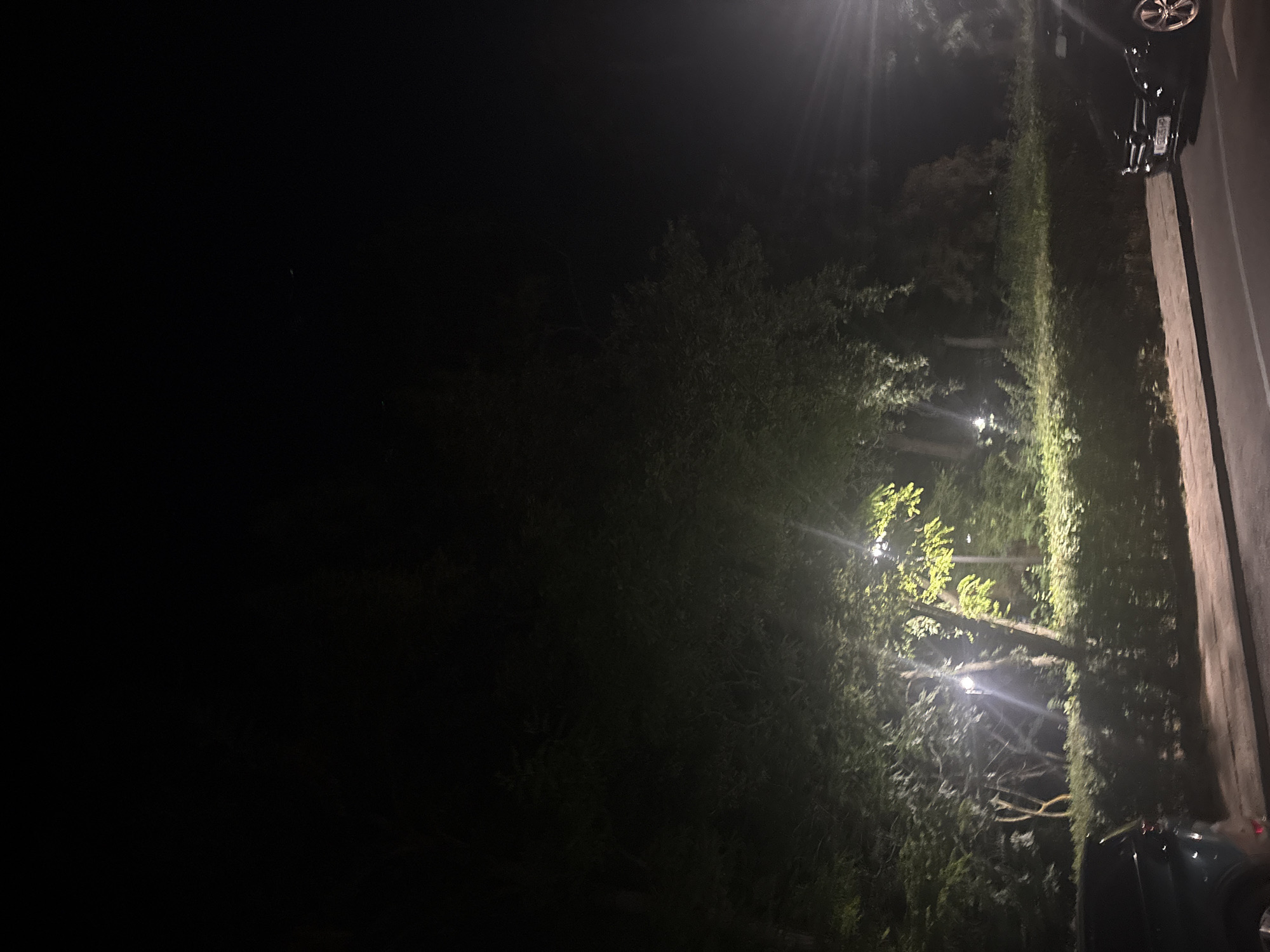 At night, a tree-lined street in Burgas, Bulgaria, is illuminated by streetlights. The dark sky is visible above the trees. A black car is parked on the right side of the street, and a portion of a dark car is visible on the left side of the street.