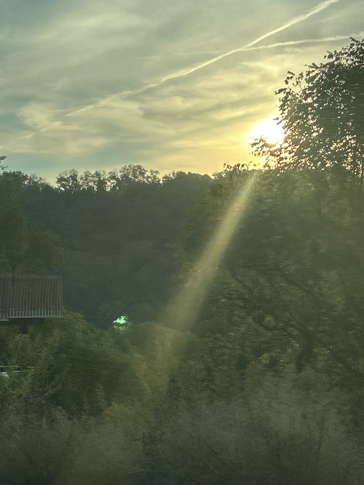 The image depicts a sun-drenched natural scene, likely at dawn or dusk, with the sun partially obscured by trees. The sky displays a gradient of pale blues and yellows, with wispy clouds and prominent contrails streaking across it. A strong beam of sunlight cuts diagonally across the frame, illuminating the foliage. In the foreground and mid-ground, lush green trees and dense undergrowth dominate. A wooden structure, possibly a railing or part of a platform, is visible on the left side of the image. In the distance, a faint, bright green light can be seen amidst the trees, its source unclear. The overall impression is one of serene natural beauty.