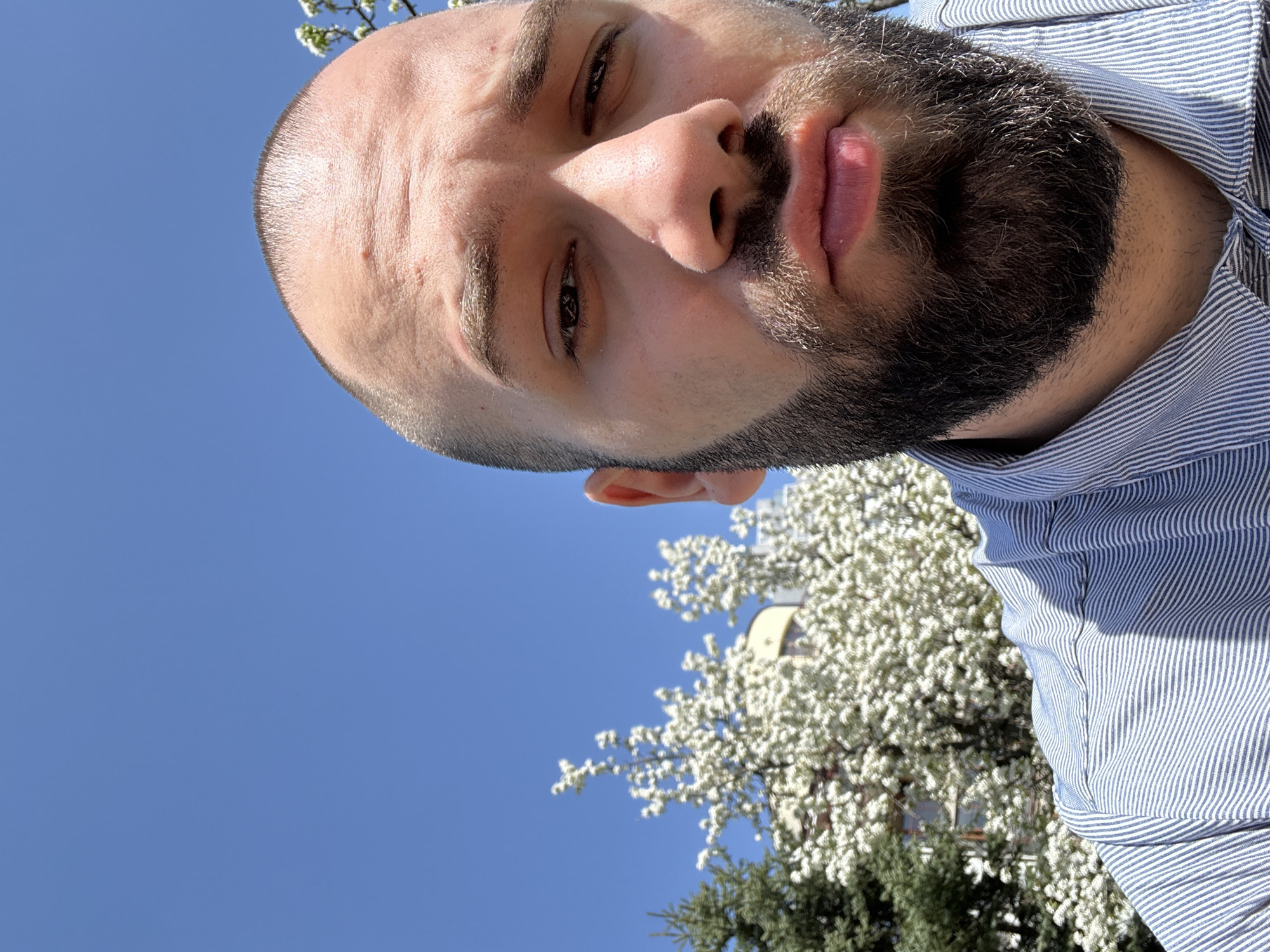 This media file presents a close-up, low-angle outdoor portrait of a man, rotated 90 degrees clockwise. The man, with a shaved head and a full dark beard, occupies the left and central parts of the frame, looking up towards the camera. He has open eyes and slightly parted lips, conveying a neutral expression. He is wearing a blue and white striped collared shirt. The background is dominated by a bright, clear blue sky, indicating sunny weather. On the right side of the image, white blooming trees with dense blossoms are prominently featured, suggesting springtime. A glimpse of green foliage and a building with a yellow facade can be seen behind the blossoms. The strong natural light creates distinct shadows on the man's face. The location context is Sofia, Bulgaria. No text is visible in the image.