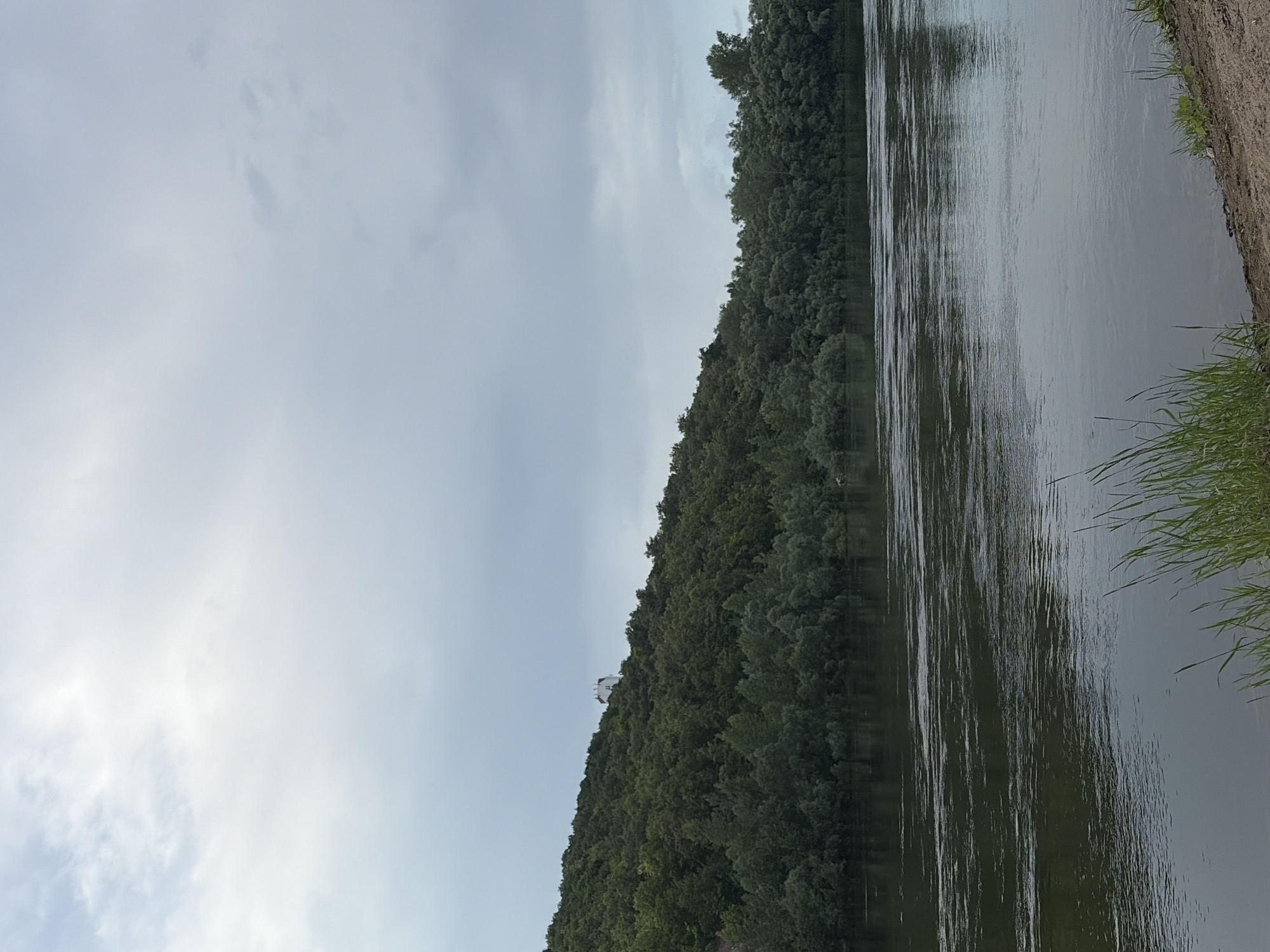The image captures a scenic view of the Belaya River in Ufa, Russia, under an overcast sky. The river, wide and calm, occupies the foreground and mid-ground, reflecting the muted light. Its surface is marked by subtle ripples and streaks, indicating a gentle current. On the far bank, a densely wooded hillside rises steeply. The trees are lush and green, creating a thick canopy that obscures much of the underlying terrain. Perched atop the hill, a white building with multiple antennas or towers is visible, its stark form contrasting with the natural surroundings. The shoreline in the immediate foreground consists of a sandy embankment dotted with patches of green grass and reeds. The overall impression is one of tranquility and natural beauty, with the human element represented by the distant structure on the hill.