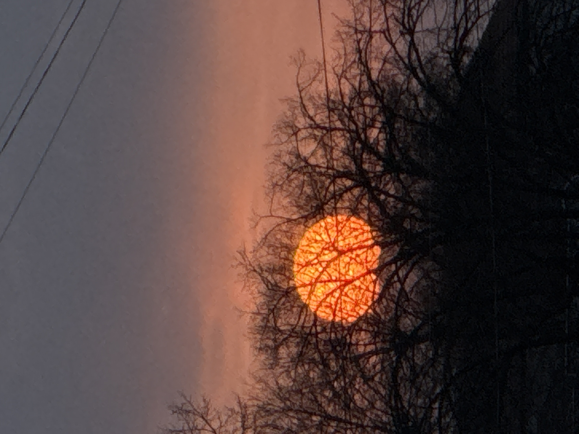 The image shows a red sun setting or rising behind a bare tree with branches silhouetted against the sky. The sky itself is a gradient of gray to orange, likely indicating dawn or dusk. Electrical wires are visible in the upper left corner. The photo seems to have been taken in an urban environment, indicated by the nearby architecture. It's impossible to confirm the location is Varna, Bulgaria based solely on visual elements from the provided image.