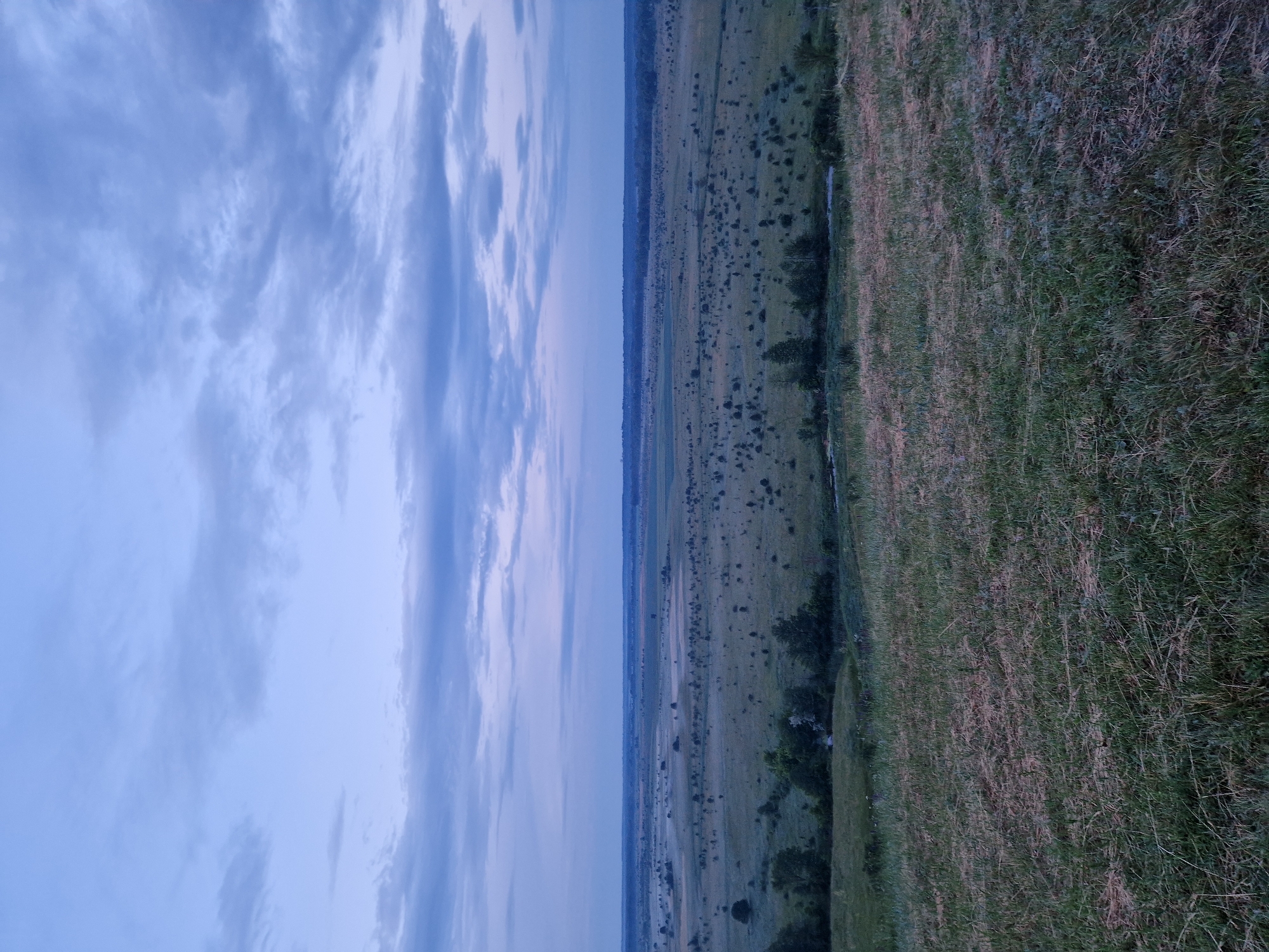 A wide shot captures a vast, open landscape under a pale blue, cloudy sky. The foreground features a grassy hill, with dry, tan-colored grass mixed with green. Beyond the hill, a wide expanse of flat terrain stretches to the horizon, dotted with numerous small trees and bushes, resembling a savanna or prairie. A narrow body of water, possibly a river or stream, winds through the middle ground. The distant horizon is marked by a faint line of trees, suggesting a further expanse of land or forest. The overall lighting suggests either early morning or late evening, with a soft, diffused light. There are no people or animals visible in the frame. The scene is serene and natural, devoid of any human-made structures or activity.
