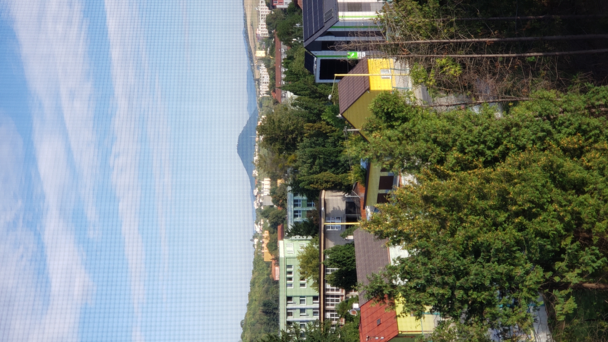 This image captures a view of the city of Prešov, Slovakia, from an elevated position. The foreground is dominated by lush green trees, some of which appear to be conifers. Behind the trees, several buildings are visible, including residential houses with red and yellow roofs, and larger institutional-style buildings, one of which is painted light green. In the mid-ground, a collection of buildings forming a town or city appears, with a prominent conical hill in the background, a recognizable landmark of Prešov. The sky above is a clear blue with scattered white clouds, indicating fair weather. The presence of what appears to be a screen or window with a grid pattern in the very foreground suggests the image was taken from indoors, looking out. There are no people or animals visible in the scene.
