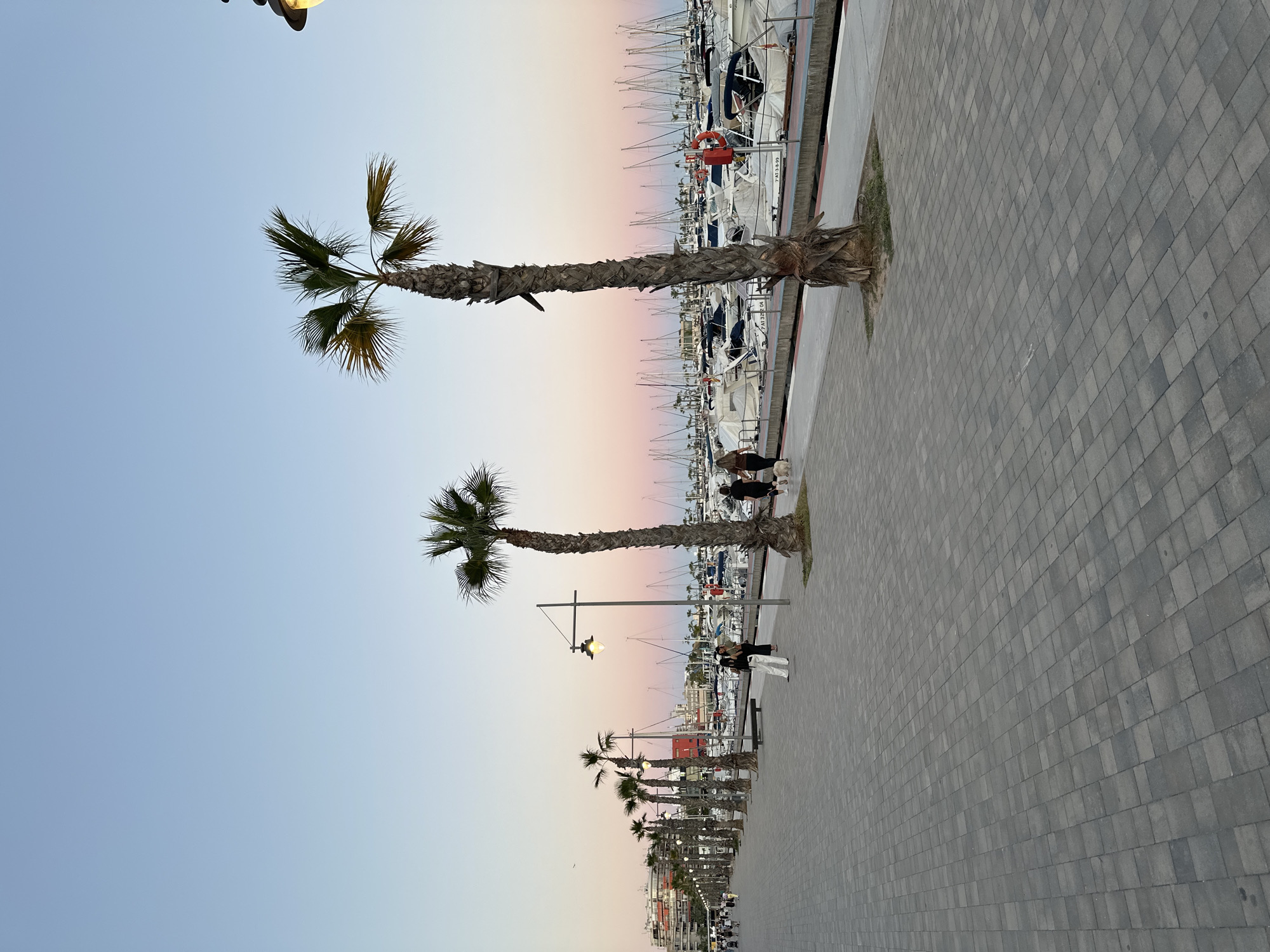 The image depicts a paved walkway along a waterfront in Santa Pola, Spain. The sky is light blue and pink indicating either sunset or sunrise. Several palm trees line the walkway. In the background, there's a marina with numerous boats and yachts. There are a few people visible on the walkway, some walking and some standing. A light post is placed near a palm tree on the walkway. The pavement is made of grey bricks.