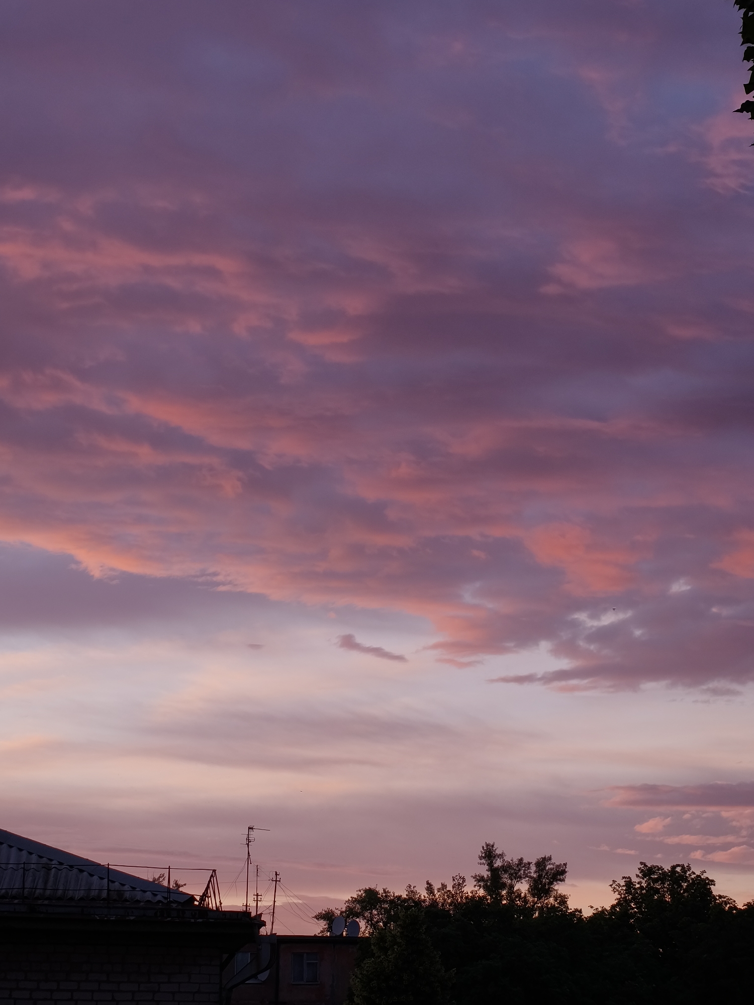 This is a vertical, eye-level, full shot of a twilight sky filled with clouds displaying shades of deep purple, pink, and lighter lavender, transitioning to a pale pink near the horizon. Silhouetted against the sky in the lower portion of the image are the rooftops of buildings, including a dark, sloped roof with visible tiles and brickwork on the left. Several television antennas and wires are visible on the rooftops. Dark silhouettes of trees are seen to the right, obscuring the lower part of the sky. The environment appears to be an urban residential area in Kryvyi Rih, Ukraine, under a dramatic, colorful sunset. There are no people or animals visible in the image.
