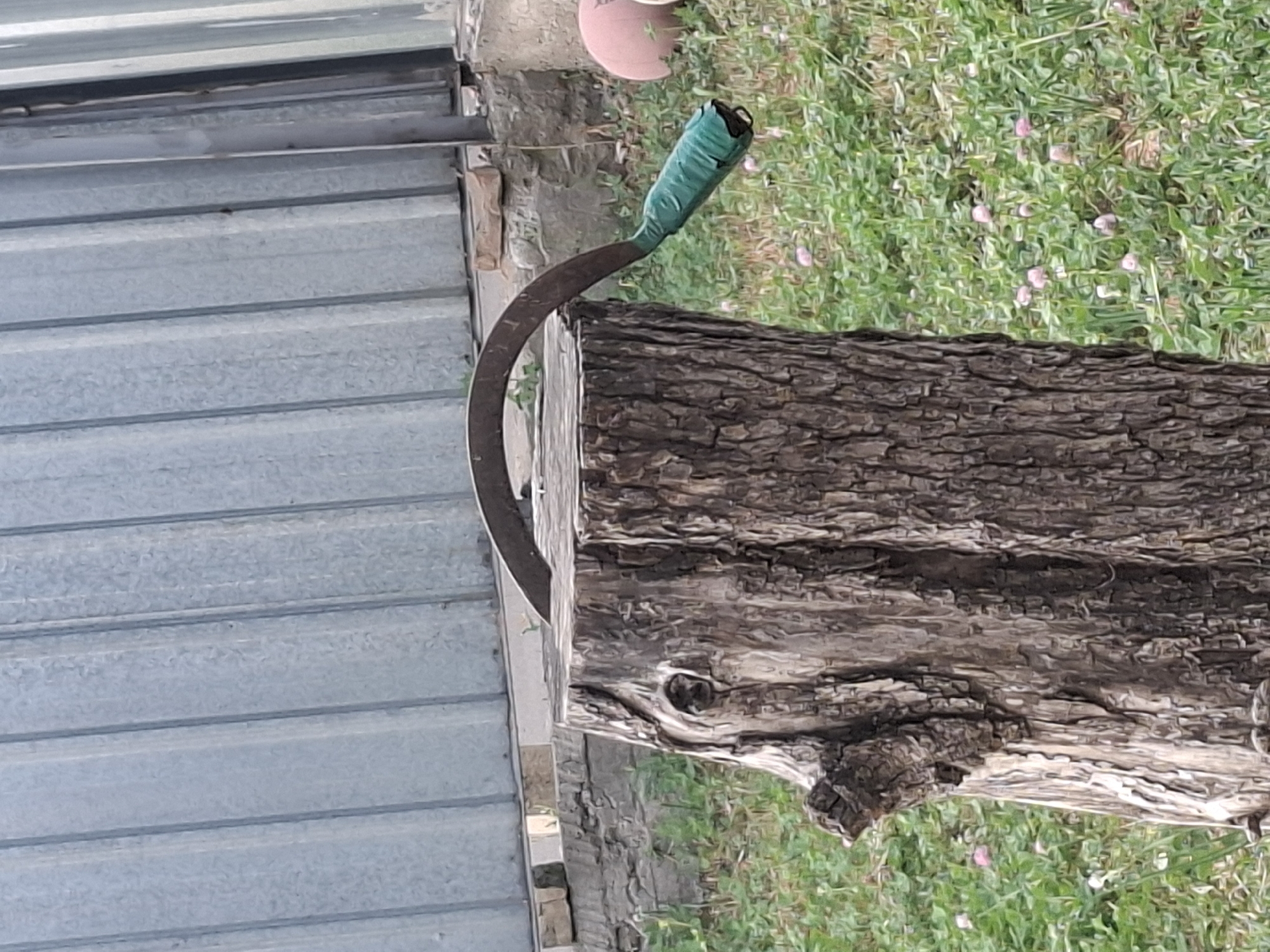 A sickle with a green-taped handle rests on a weathered tree stump. The stump is rough, with a visible knot on its left side. Behind the stump, a corrugated metal fence runs vertically. The ground is covered in green grass with small pink flowers scattered throughout. The scene appears to be outdoors, likely in a yard or garden area. There are no people visible in the image. The location is specified as Almaty, Kazakhstan.