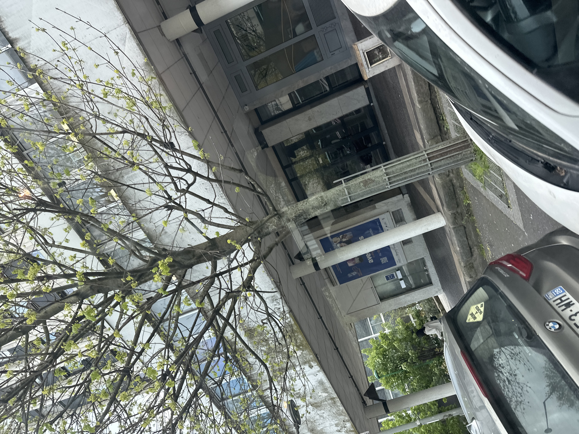 The image shows an urban scene. A tree with young leaves is prominently featured in the foreground. Behind the tree is a modern building with glass windows and architectural details. Two cars are partially visible on the right side of the frame, one is white and the other is grey. The environment suggests a street scene, likely near a commercial building. The car has a license plate from France, "53-HH-69", possibly placing this image in Sarcelles, France. A window sticker is on the rear of the grey car.