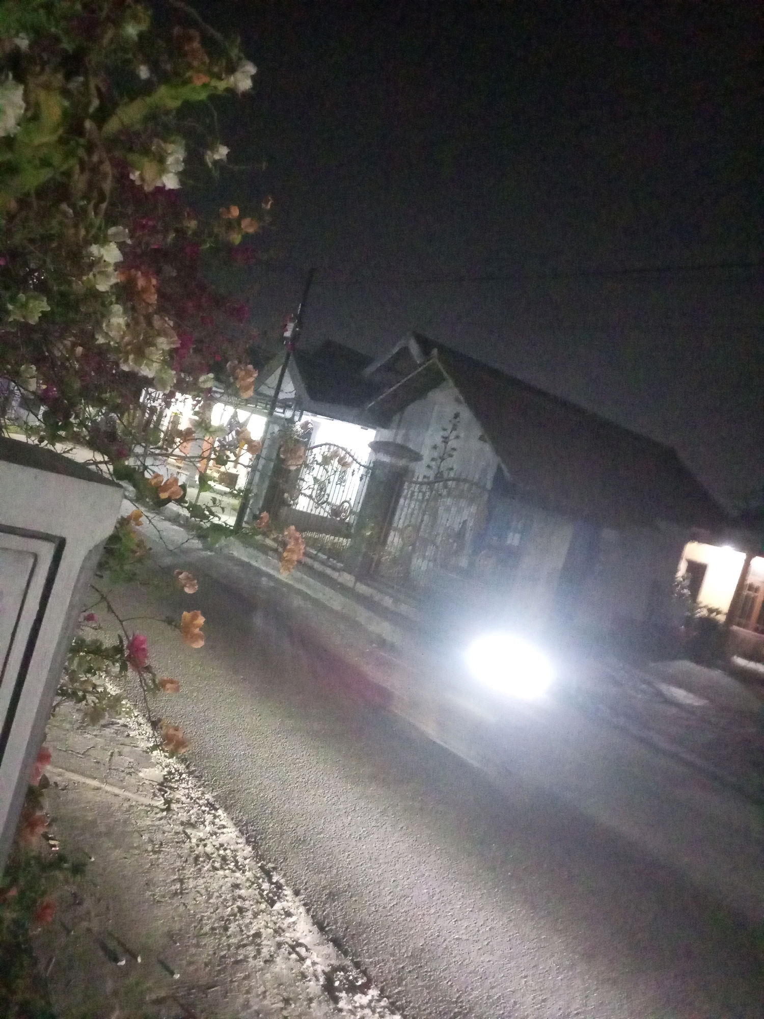 The image depicts a street scene at night in Ngasem, Indonesia. A vehicle's headlights are brightly illuminated, casting a glare across the asphalt road. To the left of the road, a sidewalk area is visible, with a low wall and overgrown foliage, including some blooming flowers in shades of pink, white, and orange. Behind the foliage and across the street, a house with a gabled roof is seen. A decorative metal gate is in front of the house, and interior lights are visible through a window, suggesting the house is occupied. The sky is dark, indicating nighttime.