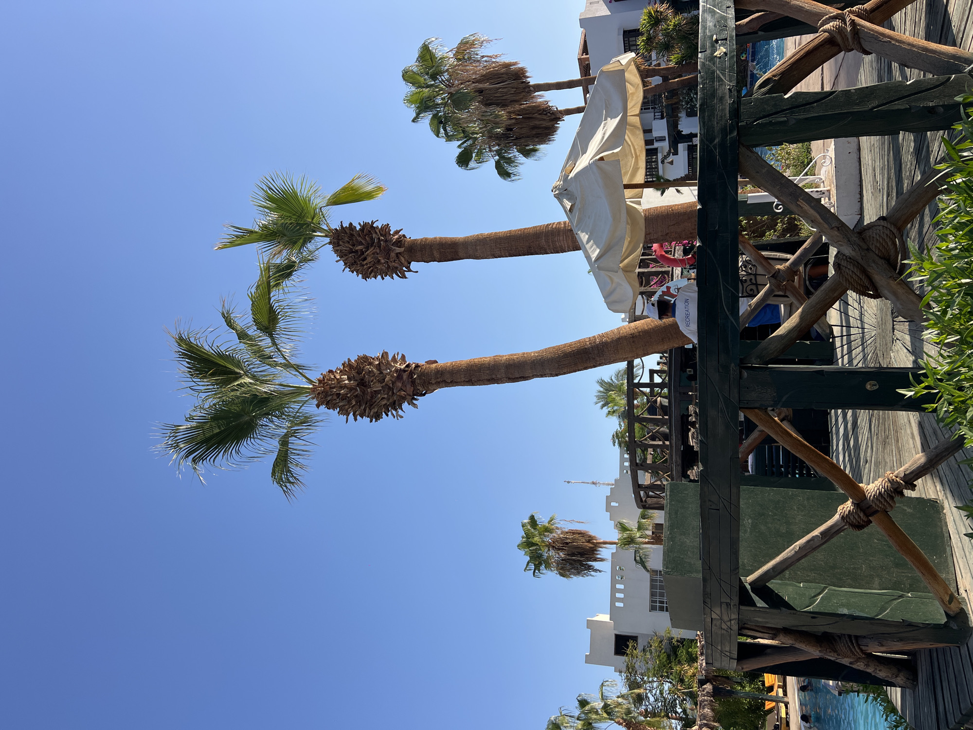 This is a photograph taken outdoors, under a clear blue sky, likely in Sharm El Sheikh, Egypt, given the presence of palm trees and resort-style architecture. In the foreground, a wooden structure, possibly a deck or railing, is prominent. It is constructed from dark green and brown wood, with rope accents tied around the supports. Behind this structure, several palm trees of varying heights and appearances are visible, some with lush green fronds and others with drier, more textured trunks.
In the middle ground, there is a white umbrella providing shade, and behind it, a white building with several windows and a slightly curved roofline. The building appears to be a resort or hotel. To the left of the building, a swimming pool with bright blue water is partially visible, with lounge chairs and umbrellas set up. People can be seen in the pool.
Further in the background, more palm trees and buildings are scattered, suggesting a resort or vacation setting. The overall impression is one of a sunny, tropical environment. The photograph is taken from a slightly low angle, looking up towards the palm trees and the sky.