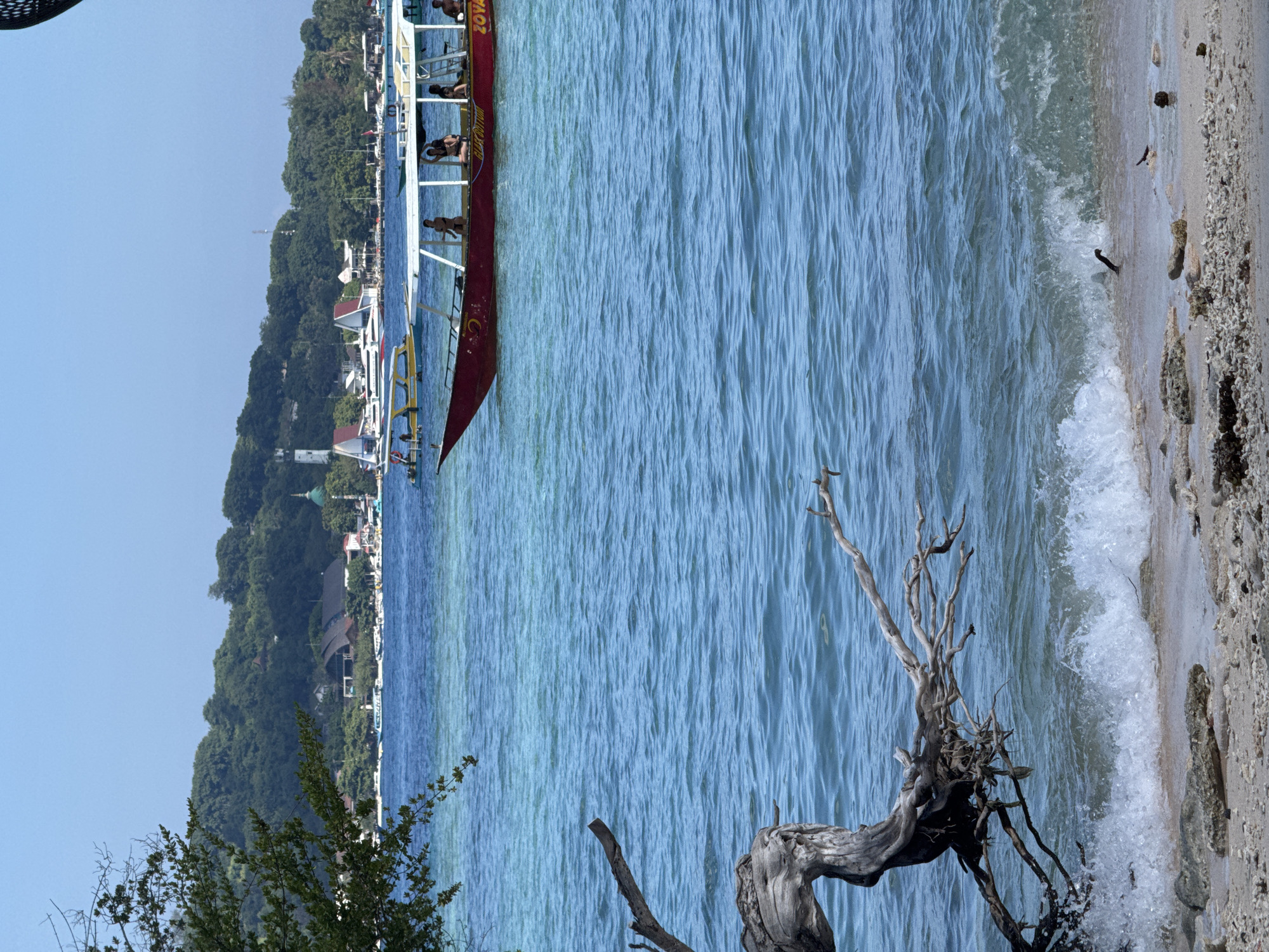 This image captures a vibrant coastal scene, likely in Indonesia, under a clear, bright sky. The foreground features a sandy and rocky beach on the right, where gentle waves break. A prominent piece of gnarled, light-colored driftwood with multiple branches lies partially in the water and on the sand, adding a natural element to the immediate foreground.
The midground is dominated by clear, tranquil blue water, showing subtle ripples and variations in depth. A large, long red and white boat, possibly a traditional tour boat, is positioned on the water, slightly left of center. Several people are visible on the boat, standing and seated on its decks and along its side, suggesting it's either carrying passengers or preparing to. Visible text on the red hull of the boat reads "ZOYA" and "BLACK ORANGE". Other smaller boats are faintly discernible further along the coastline.
In the background, a lush green coastline rises, covered in dense tropical foliage. Scattered among the trees are various buildings, some with white walls and red roofs, hinting at a small coastal settlement or resort area. The clear blue sky and strong daylight suggest it is mid-morning or early afternoon, with sunny and pleasant weather conditions. The overall scene conveys a sense of leisure and natural beauty.