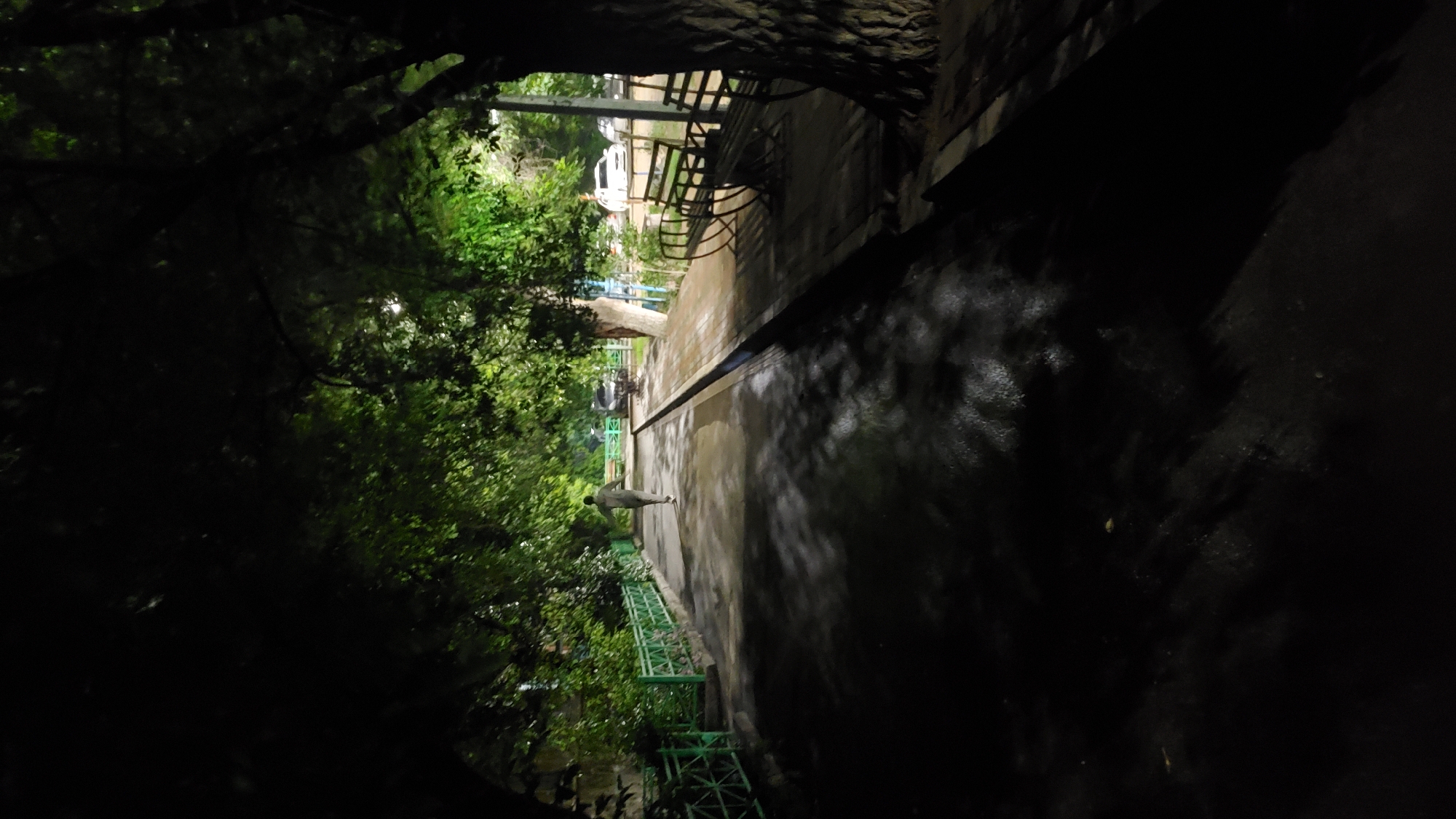 The image depicts a person walking along a paved path at night, illuminated by artificial lights. The path is bordered by lush green foliage on the left and a darker, possibly rocky or concrete wall on the right. In the distance, streetlights cast shadows on the wet ground, suggesting recent rain or dampness. Some benches are visible along the side of the path, hinting at a park or recreational area. The overall mood is serene and somewhat mysterious due to the low light conditions. The person appears to be walking alone, adding to the solitary atmosphere.