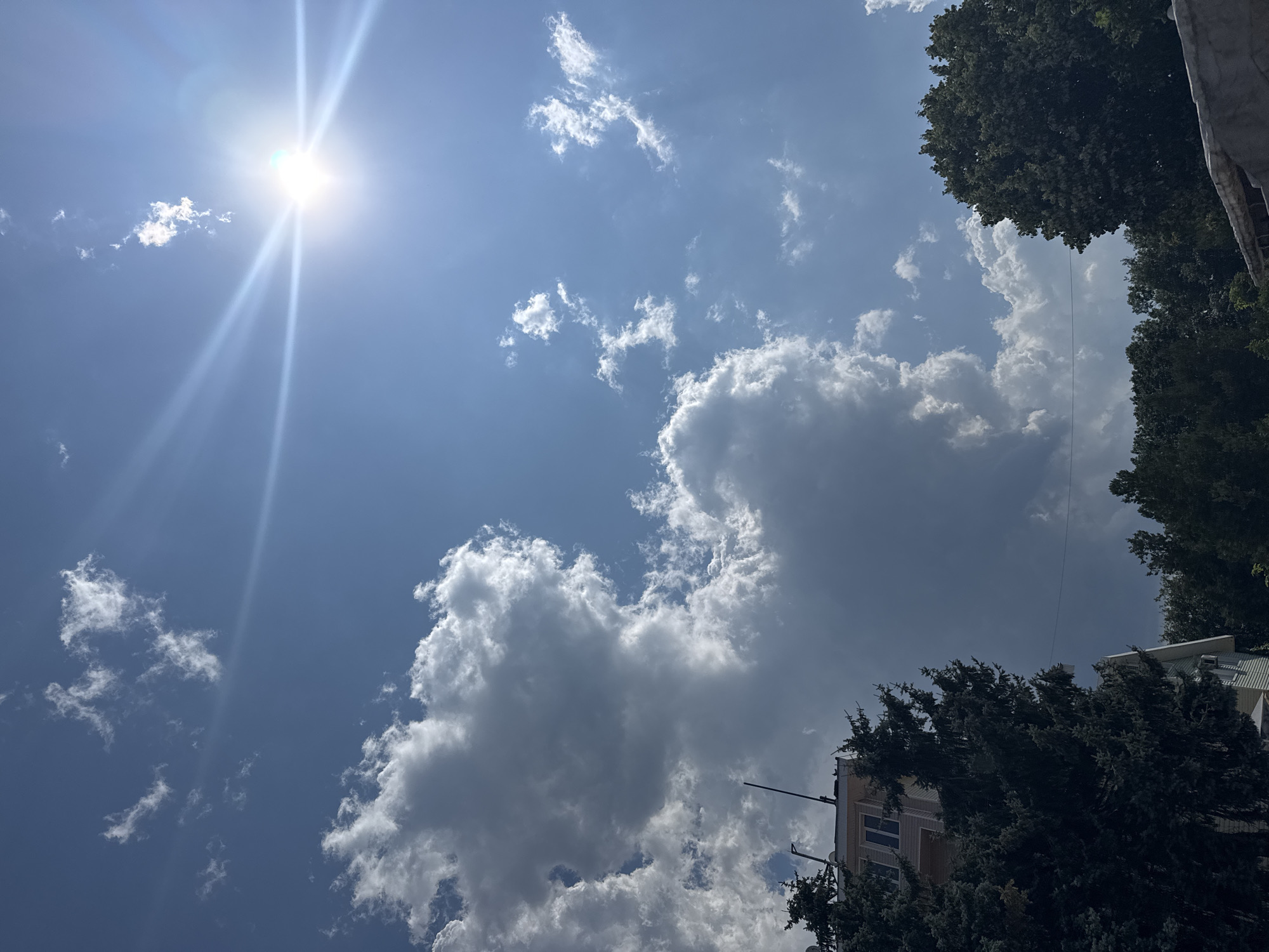 The image captures a bright, sunny day with a vivid blue sky. The sun is prominently positioned in the upper right quadrant, emitting strong rays that create a lens flare effect. Scattered across the sky are various clouds, ranging from wispy, translucent formations to larger, more dense cumulus clouds, some casting shadows.
In the lower left of the frame, the top of a building is visible, appearing to be a few stories high with windows and a light-colored facade. Adjacent to the building and extending upwards are dark green evergreen trees, obscuring a significant portion of the structure. Further to the right and in the background, a dense line of deciduous trees forms a dark green canopy. A thin, dark horizontal line, possibly a utility wire, stretches across the middle of the image. The overall impression is an urban or suburban environment on a clear day. The image does not depict any people or specific actions. The location is Sredets, Bulgaria.