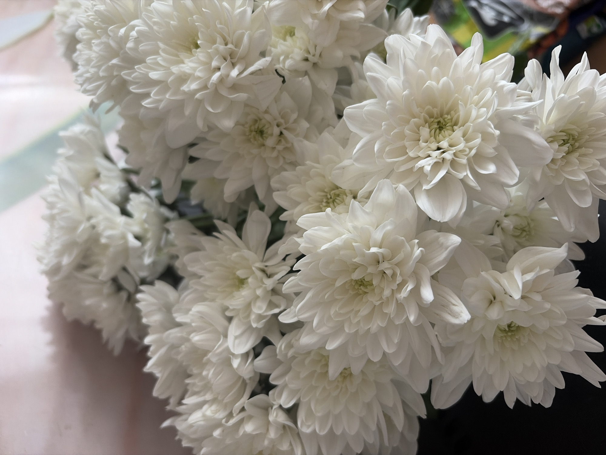 A close-up shot captures a dense bouquet of white chrysanthemums. The flowers are tightly packed, with numerous delicate petals creating a full, rounded appearance. The lighting highlights the texture and layered structure of each bloom, with some flowers appearing fully open while others are still in bud. The background is softly blurred, with hints of pinkish-brown and pastel blue, suggesting an indoor setting. There are no people, animals, or explicit indications of a specific location within Duisburg, Germany visible in the image. The scene is static and focuses solely on the floral arrangement.