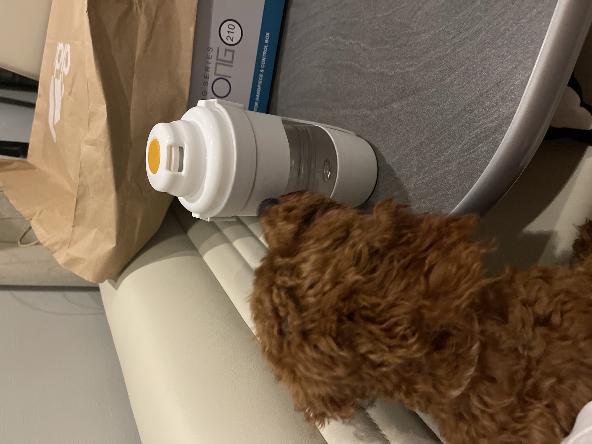 The indoor scene, situated in Koprinka, Bulgaria, displays a small, reddish-brown, curly-haired dog positioned on a light beige upholstered surface, likely a sofa. The dog is seen from behind and to its left, intently looking at a white, cylindrical pet water bottle resting on a grey, textured table surface. The water bottle features a transparent section revealing a small quantity of water and a yellow push-button on its white top. Behind the water bottle, a crumpled brown paper bag with a partially visible white logo is present, adjacent to a white cardboard box with blue trim. The box text identifies it as part of a 'G SERIES' and mentions 'ONG 210' and 'TOR HANDPIECE & CONTROL BOX'. The dog's attention is focused directly on the water bottle, suggesting interest in its contents.