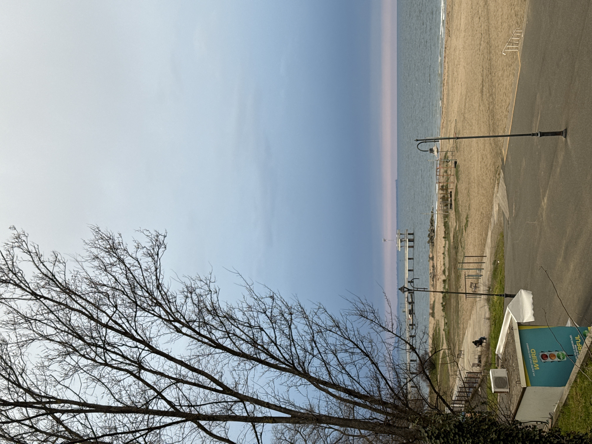 The image shows a coastal scene, likely in Burgas, Bulgaria, given the presence of seaside elements and local architectural styles. In the foreground, bare tree branches dominate the lower-left corner, suggesting either late autumn or early spring. The middle ground features a beach, ocean, and a boardwalk or paved area with street lamps. The boardwalk area has railings. Beyond the boardwalk is a sandy beach and the sea. In the distance, a pier structure is visible in the water. To the right of the boardwalk area is a small building or structure with signage featuring the word "WEIRD". A person sits in a chair near the edge of the boardwalk. The sky is overcast with a blend of light blue and grey hues, indicating potentially cloudy weather.