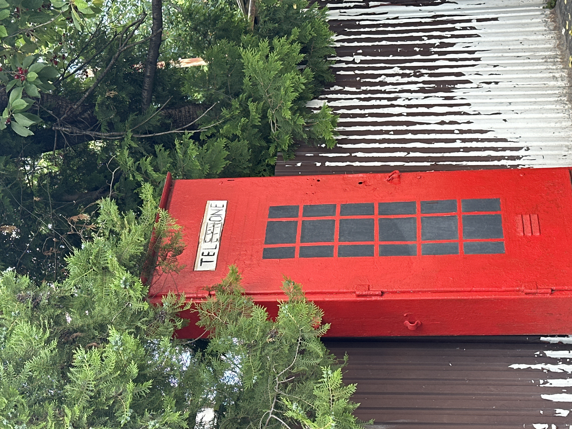 A red telephone booth, painted brightly, stands in front of a fence. The booth has a rectangular window with dark panes, resembling a traditional British phone booth. Above the window, a white sign reads "TELEPHONE" in black capital letters. Lush green foliage from nearby trees overhangs the booth and the fence. The fence is corrugated metal, with alternating vertical brown and white stripes. The white paint on the fence appears weathered and peeling in places. The ground in front of the fence and booth is partially covered with fallen leaves and debris. The scene appears to be outdoors, possibly in a garden or yard. This image was captured in Chișinău, Moldova.