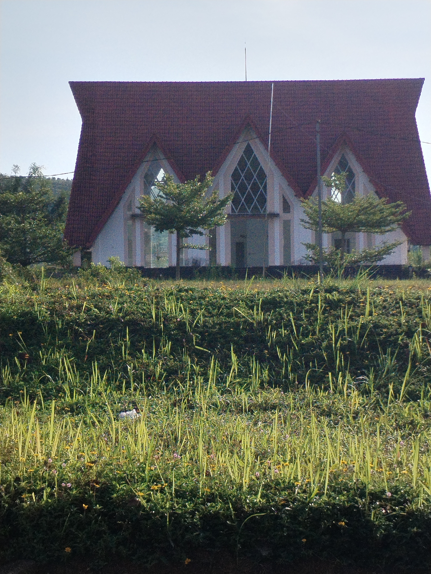 The image depicts a building with a prominent red roof, likely a church or community center, situated in a grassy, overgrown area. The building has a white exterior with three gabled window sections, the central one with a diamond pattern. Young trees partially obscure the façade. In the foreground, tall grasses and wildflowers fill the frame, creating a sense of neglect. The sky is bright and clear. The precise location within Bờ Y, Vietnam, cannot be determined from the image alone. There are no people visible in the scene.
